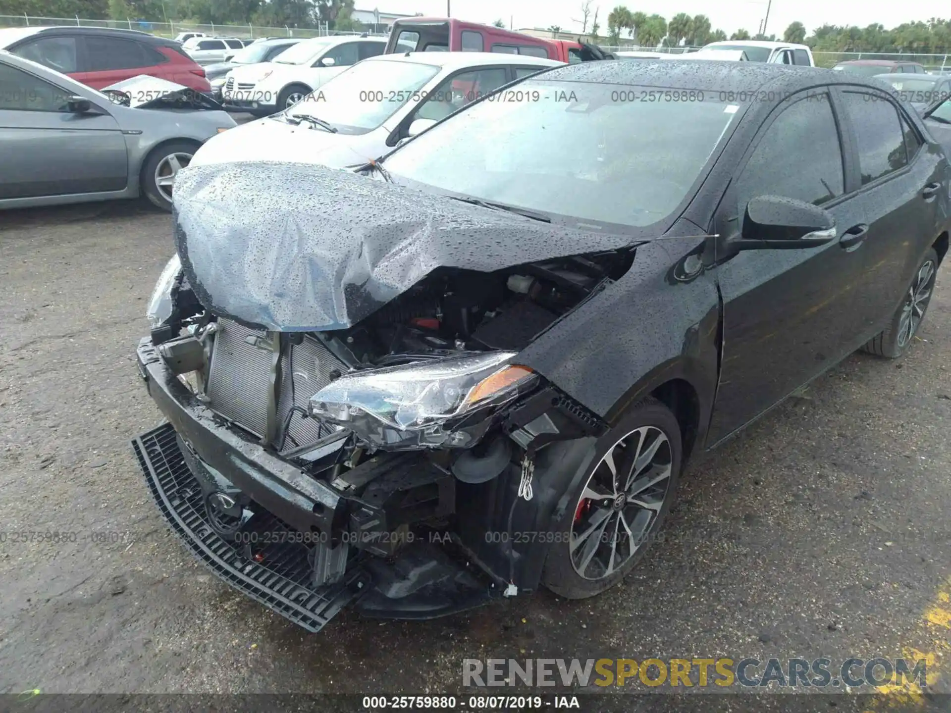 6 Photograph of a damaged car 5YFBURHE0KP901539 TOYOTA COROLLA 2019