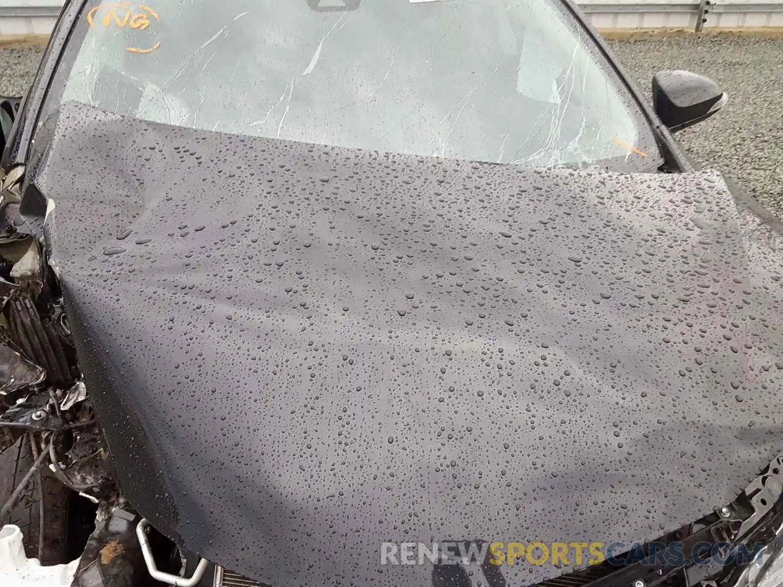 7 Photograph of a damaged car 5YFBURHE1KP875078 TOYOTA COROLLA 2019