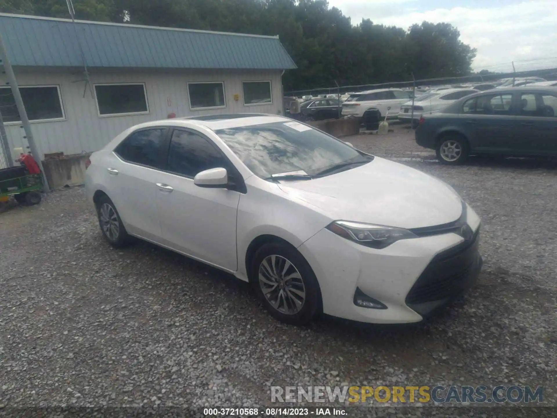 1 Photograph of a damaged car 5YFBURHE3KP882601 TOYOTA COROLLA 2019