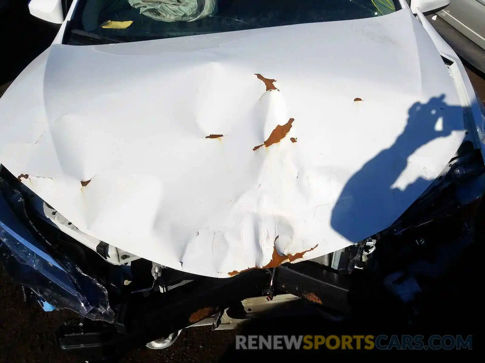 7 Photograph of a damaged car 5YFBURHE7KP870175 TOYOTA COROLLA 2019