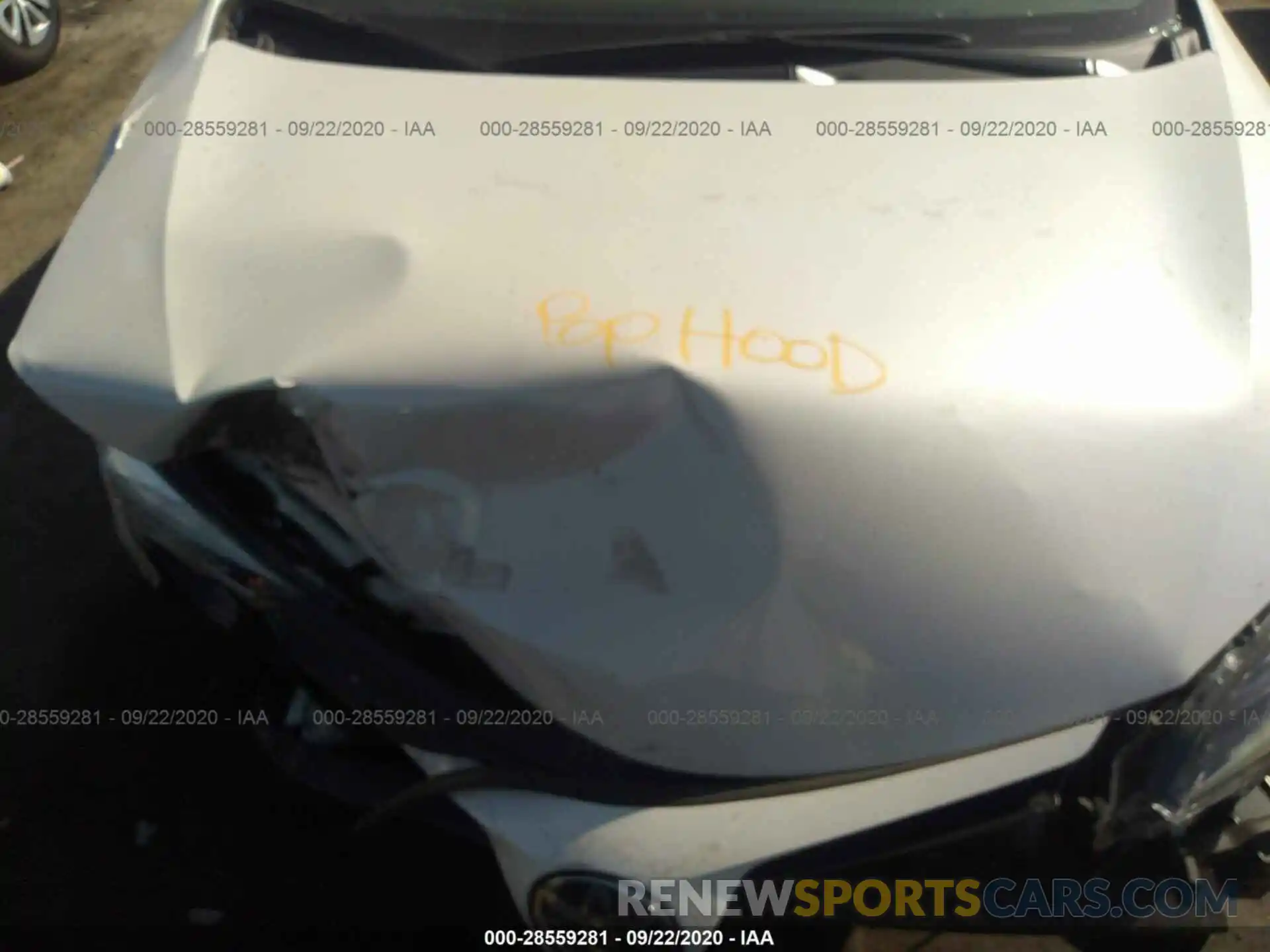 10 Photograph of a damaged car 5YFBURHE8KP924499 TOYOTA COROLLA 2019