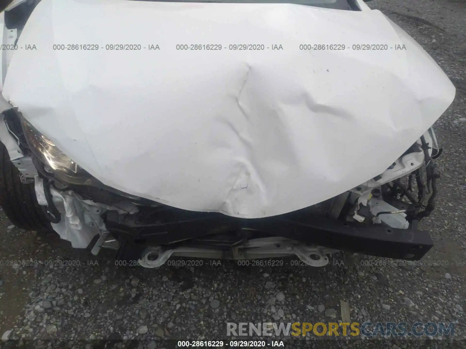 6 Photograph of a damaged car 5YFBURHE9KP941067 TOYOTA COROLLA 2019