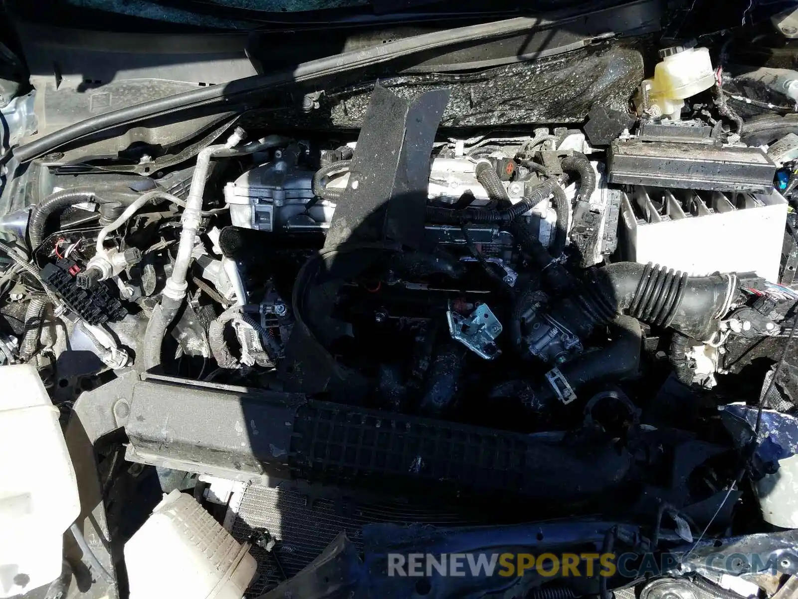 7 Photograph of a damaged car JTDEPRAE5LJ026592 TOYOTA COROLLA 2020