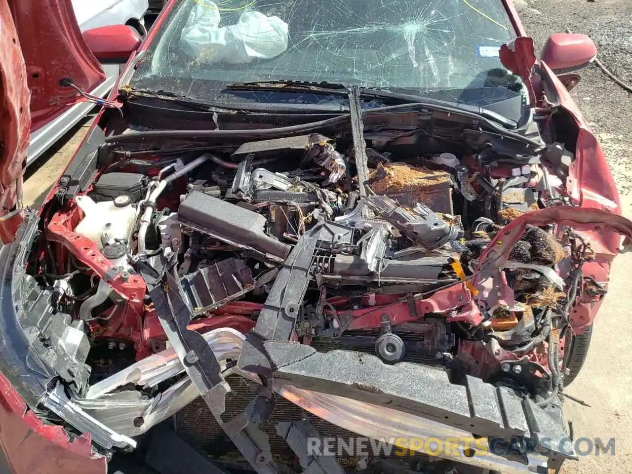 7 Photograph of a damaged car JTDS4RCE3LJ004616 TOYOTA COROLLA 2020