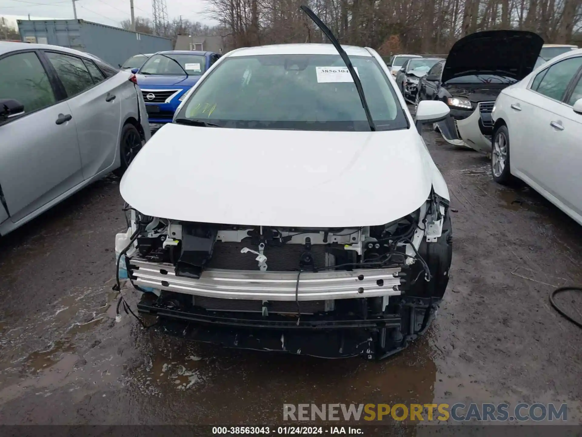 13 Photograph of a damaged car 5YFVPMAE4NP306439 TOYOTA COROLLA 2022