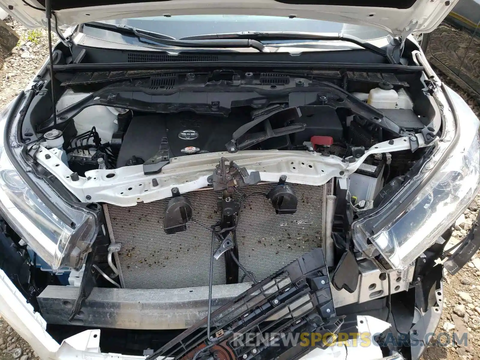 7 Photograph of a damaged car 5TDDZRFH7KS959484 TOYOTA HIGHLANDER 2019