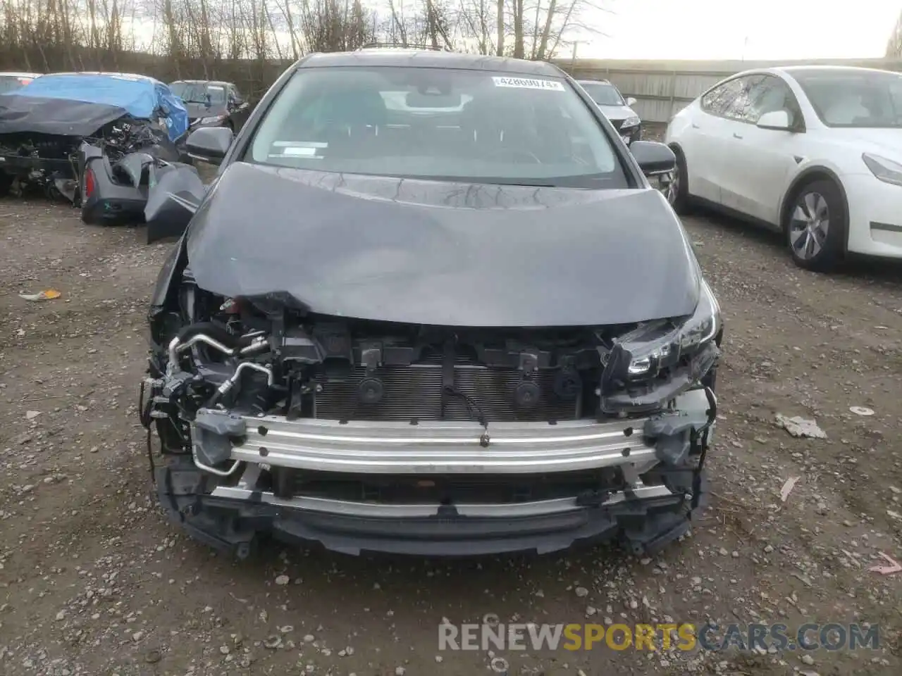 5 Photograph of a damaged car JTDKAMFP4M3182646 TOYOTA PRIUS 2021