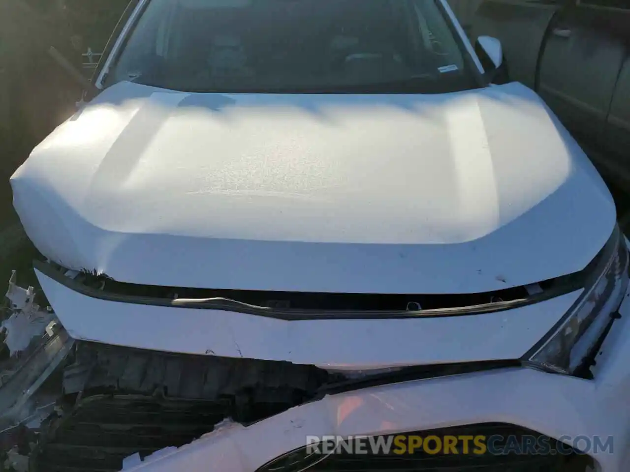 11 Photograph of a damaged car 2T3A1RFV4KC052465 TOYOTA RAV4 2019