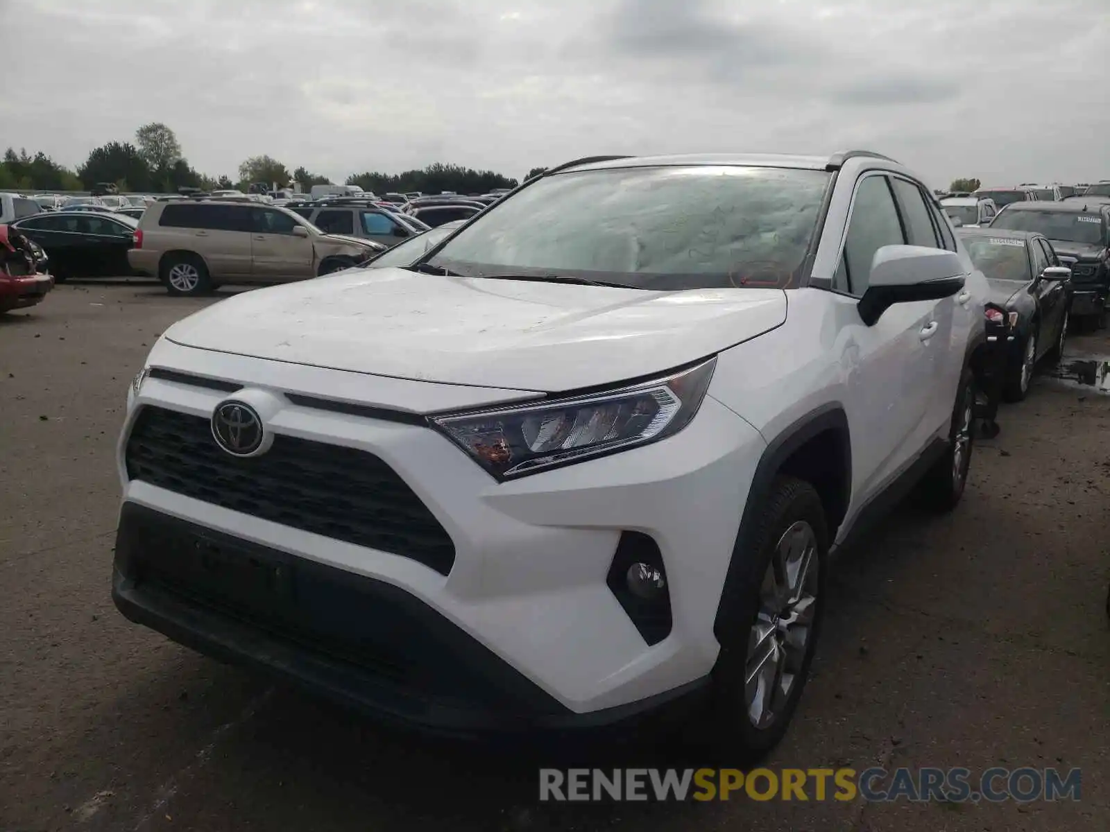 2 Фотография поврежденного автомобиля 2T3A1RFV7KW069095 TOYOTA RAV4 2019