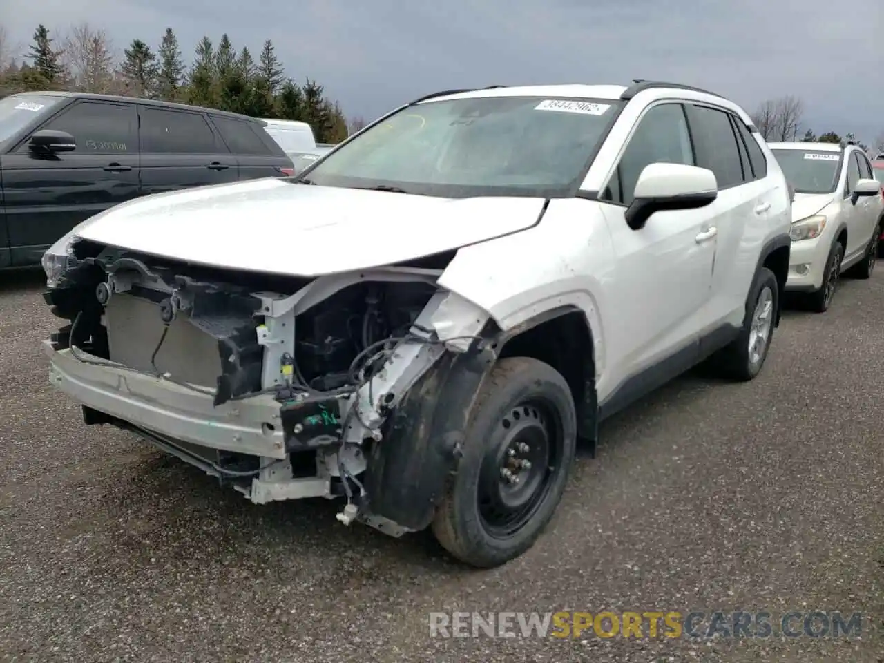 2 Фотография поврежденного автомобиля 2T3B1RFVXKW031994 TOYOTA RAV4 2019