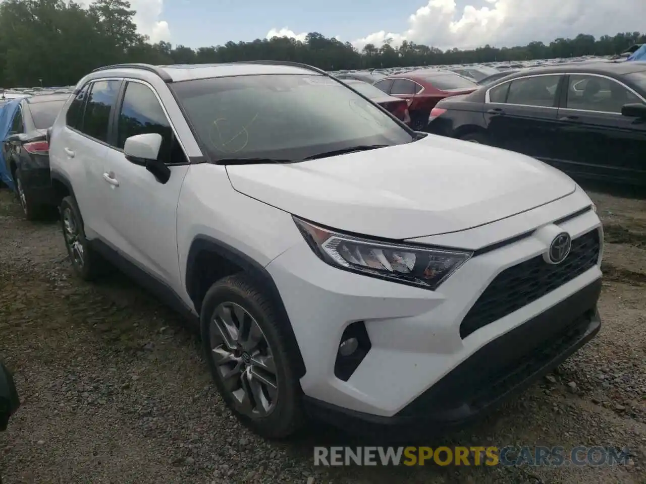 1 Photograph of a damaged car 2T3C1RFV5KC013022 TOYOTA RAV4 2019