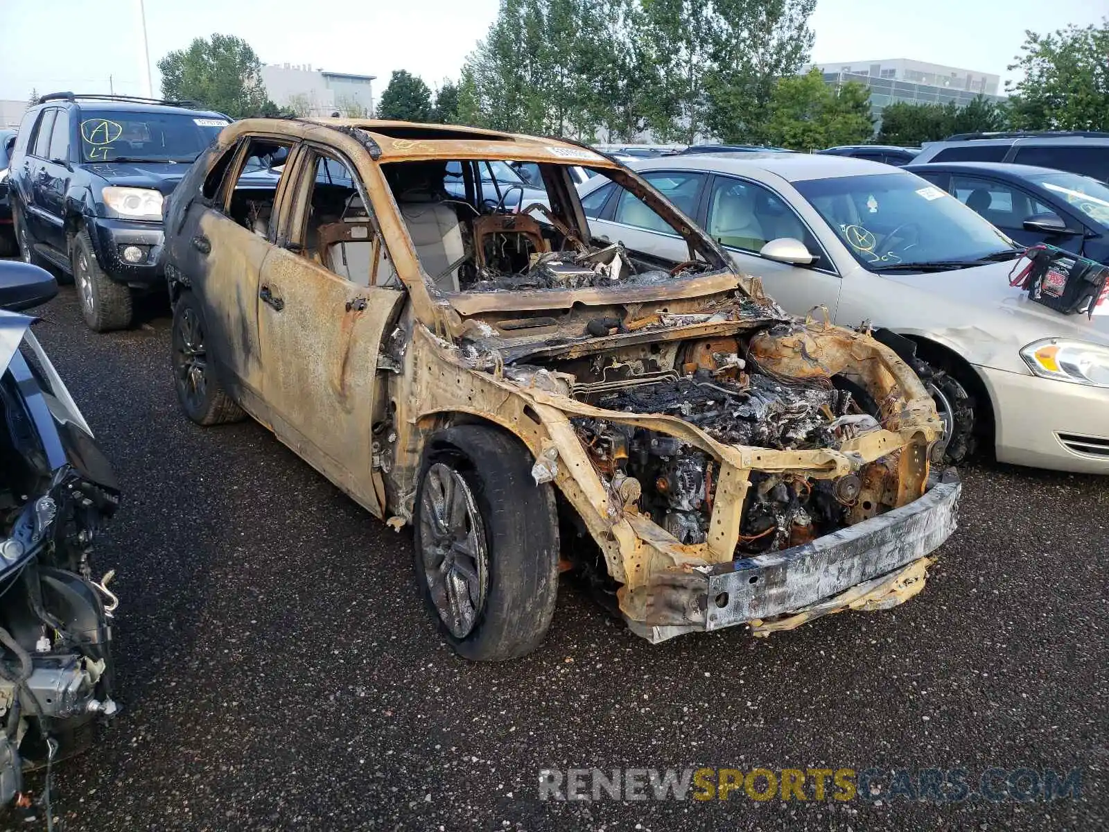 1 Фотография поврежденного автомобиля 2T3D1RFV9KW027590 TOYOTA RAV4 2019