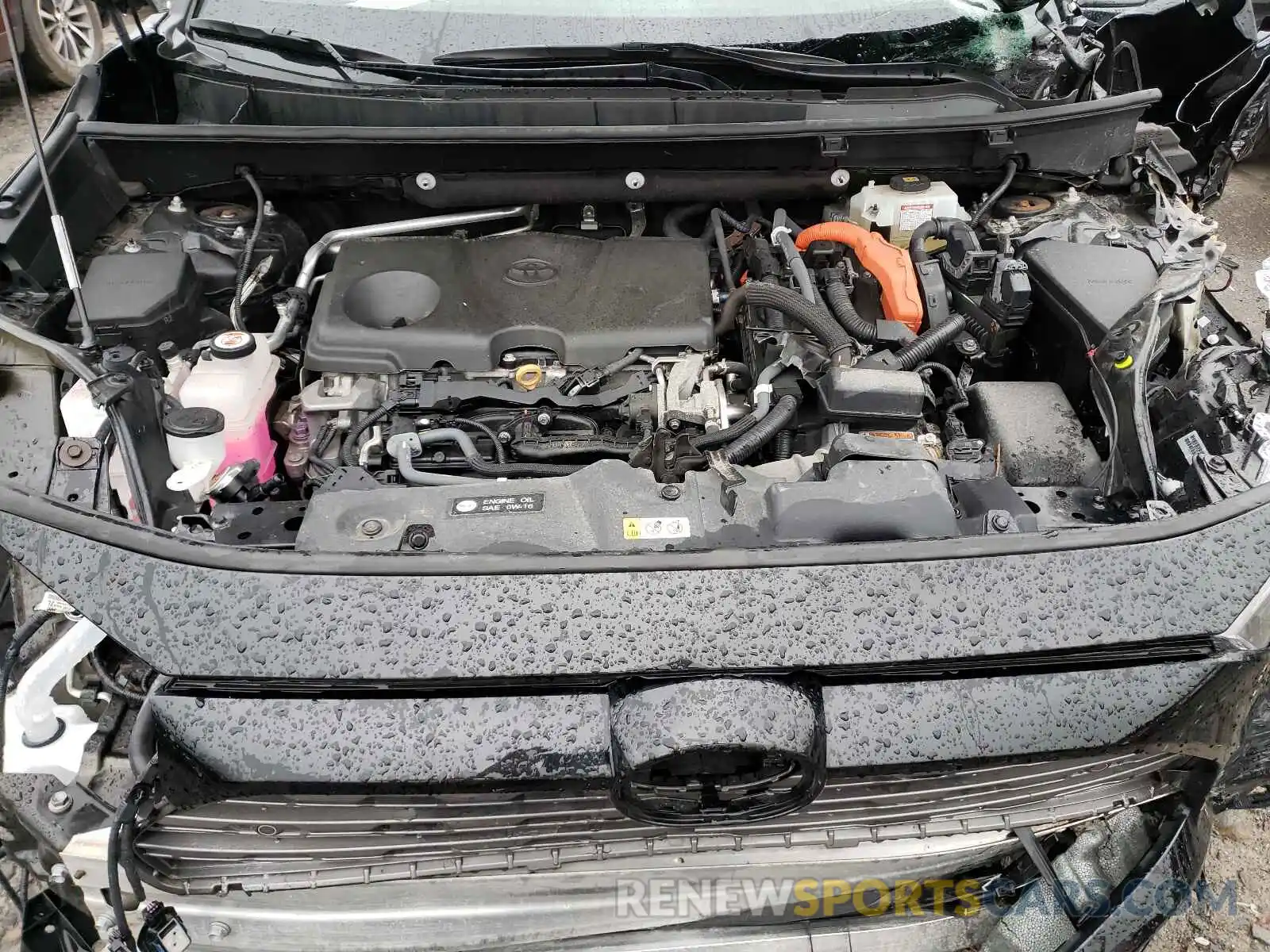 7 Photograph of a damaged car 2T3DWRFV0KW013238 TOYOTA RAV4 2019