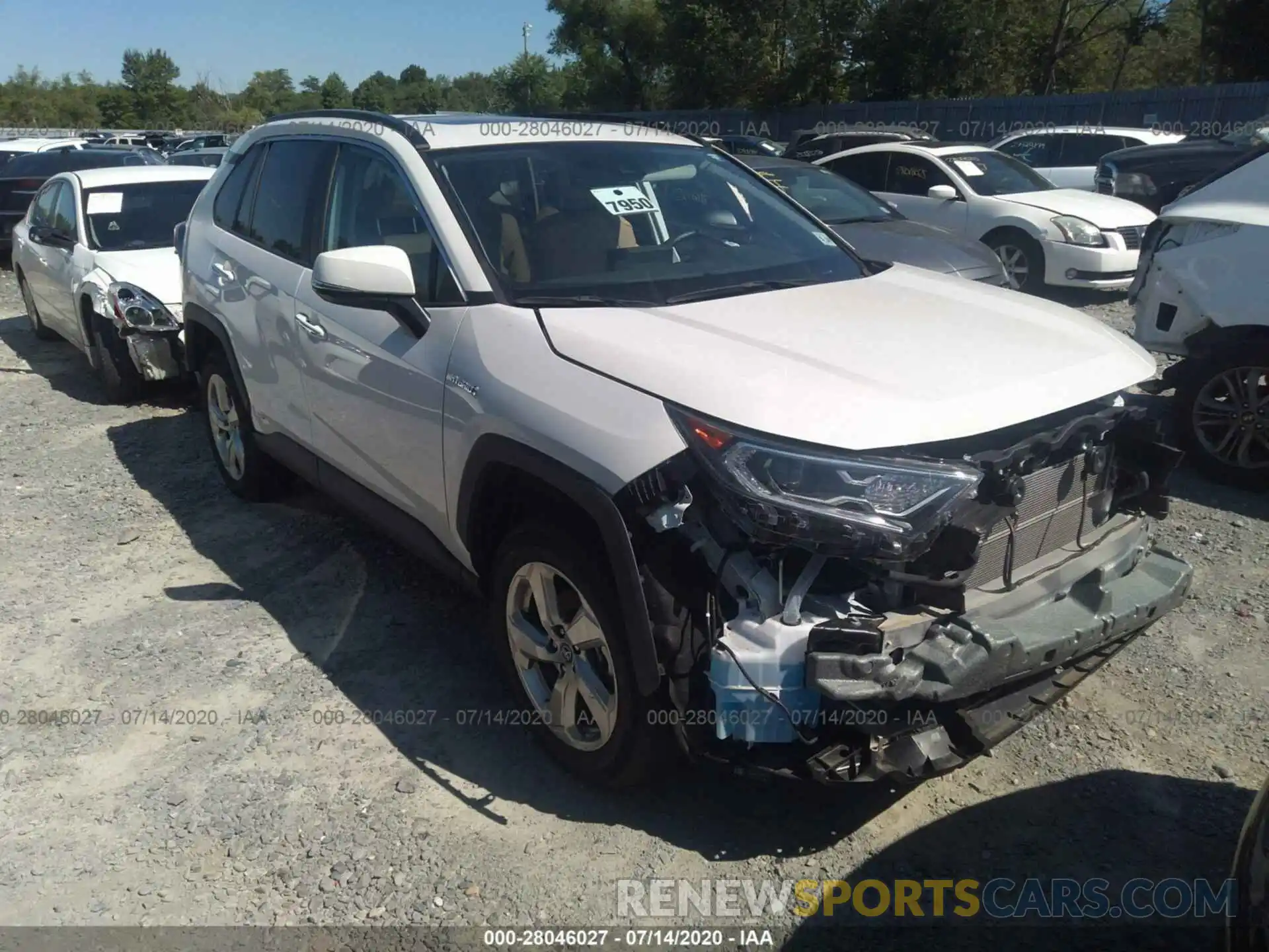 1 Photograph of a damaged car 2T3DWRFV1KW009294 TOYOTA RAV4 2019