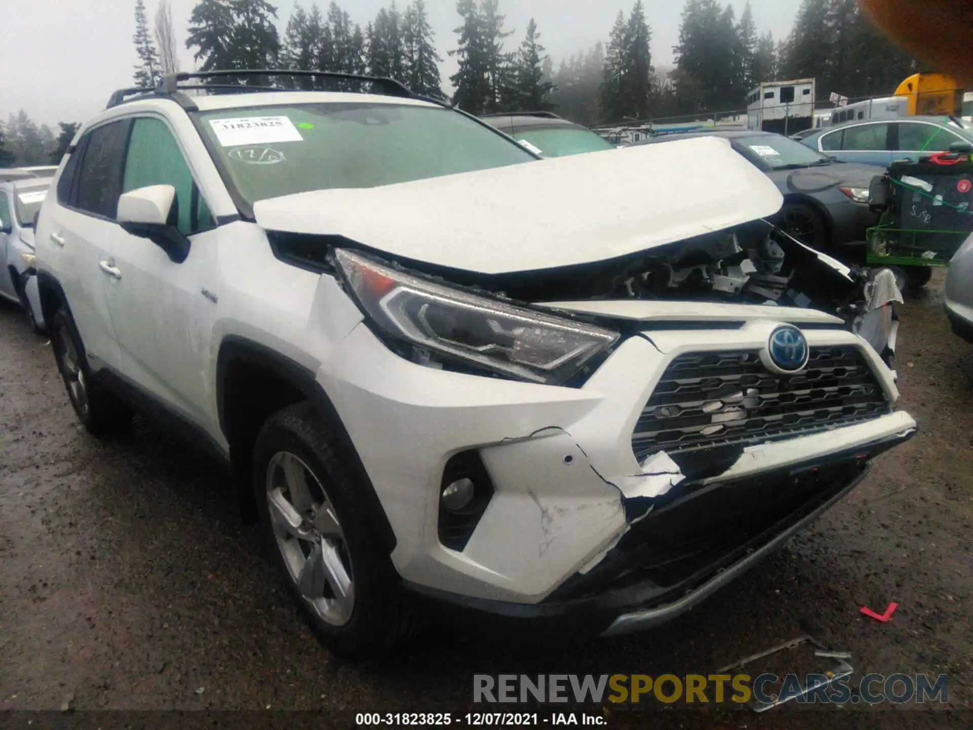 1 Photograph of a damaged car 2T3DWRFV2KW005304 TOYOTA RAV4 2019