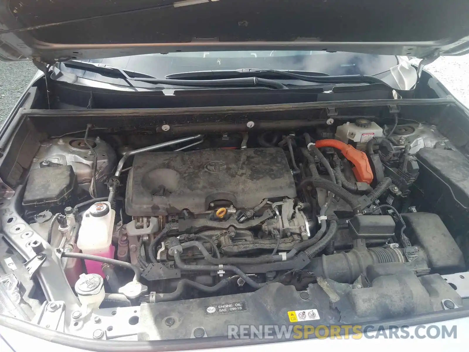 7 Photograph of a damaged car 2T3DWRFV6KW009307 TOYOTA RAV4 2019