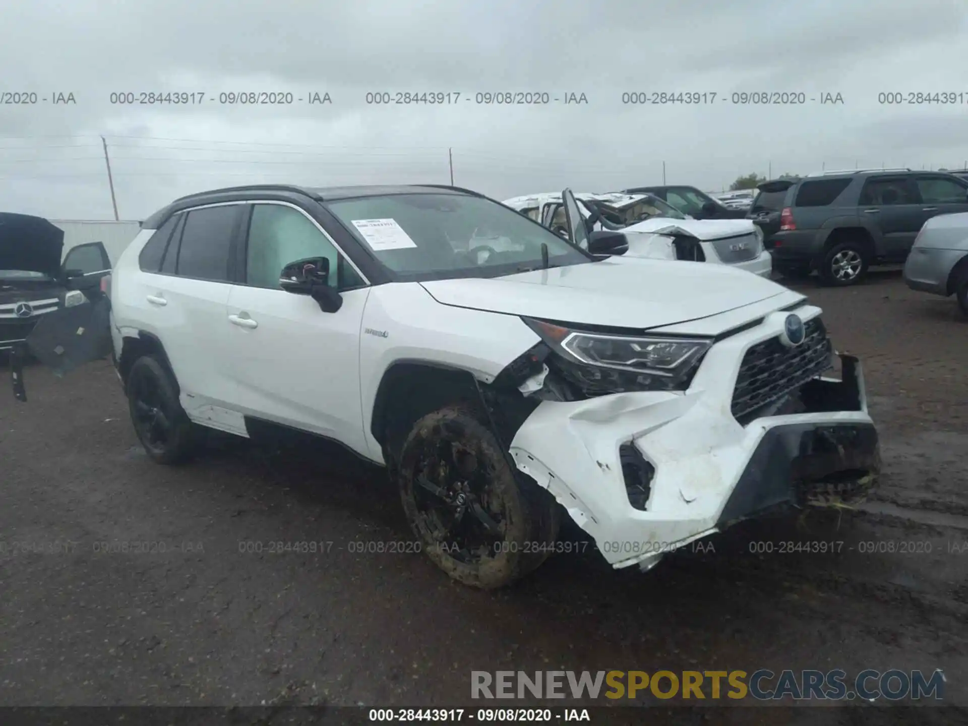 1 Photograph of a damaged car 2T3EWRFV6KW002989 TOYOTA RAV4 2019