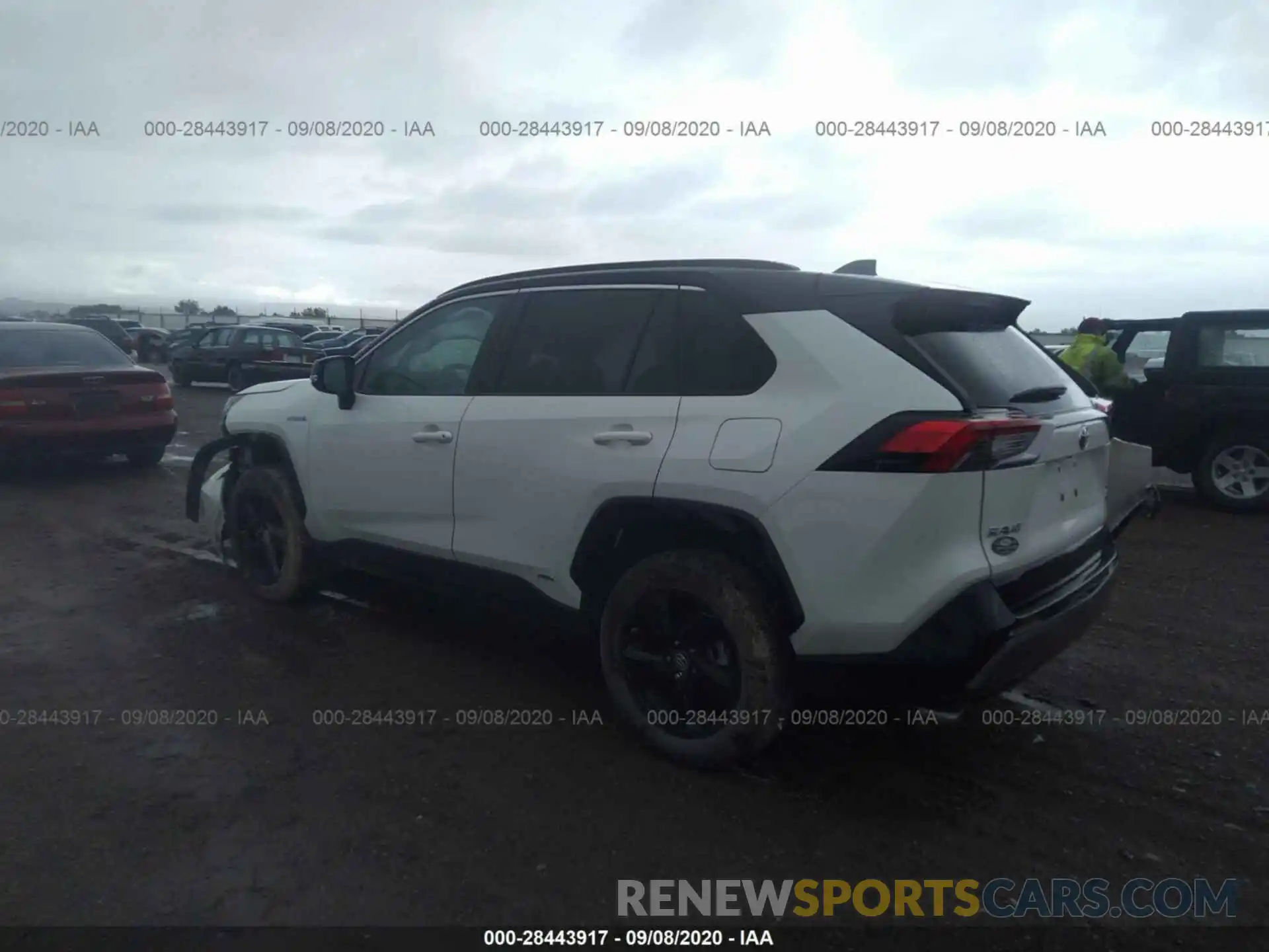 3 Photograph of a damaged car 2T3EWRFV6KW002989 TOYOTA RAV4 2019