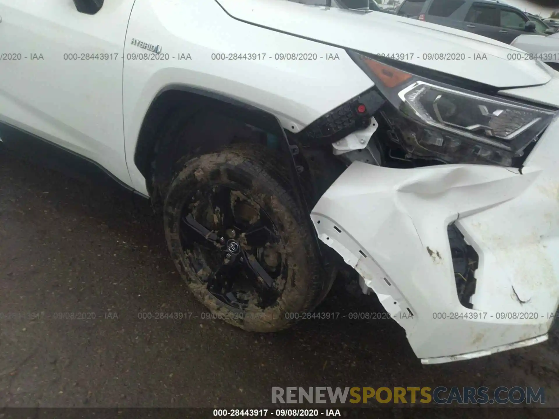 6 Photograph of a damaged car 2T3EWRFV6KW002989 TOYOTA RAV4 2019