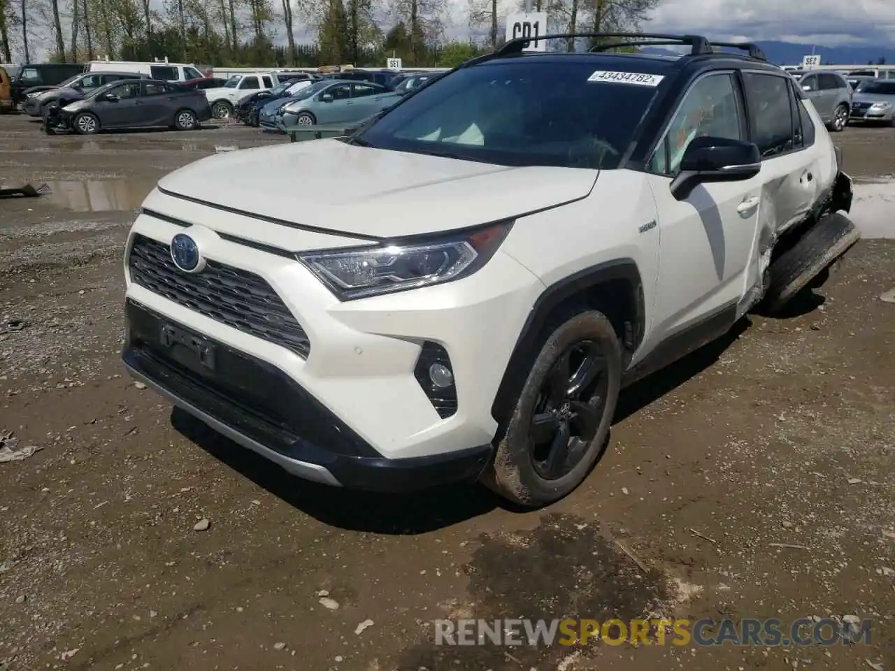 2 Фотография поврежденного автомобиля 2T3EWRFV8KW013007 TOYOTA RAV4 2019