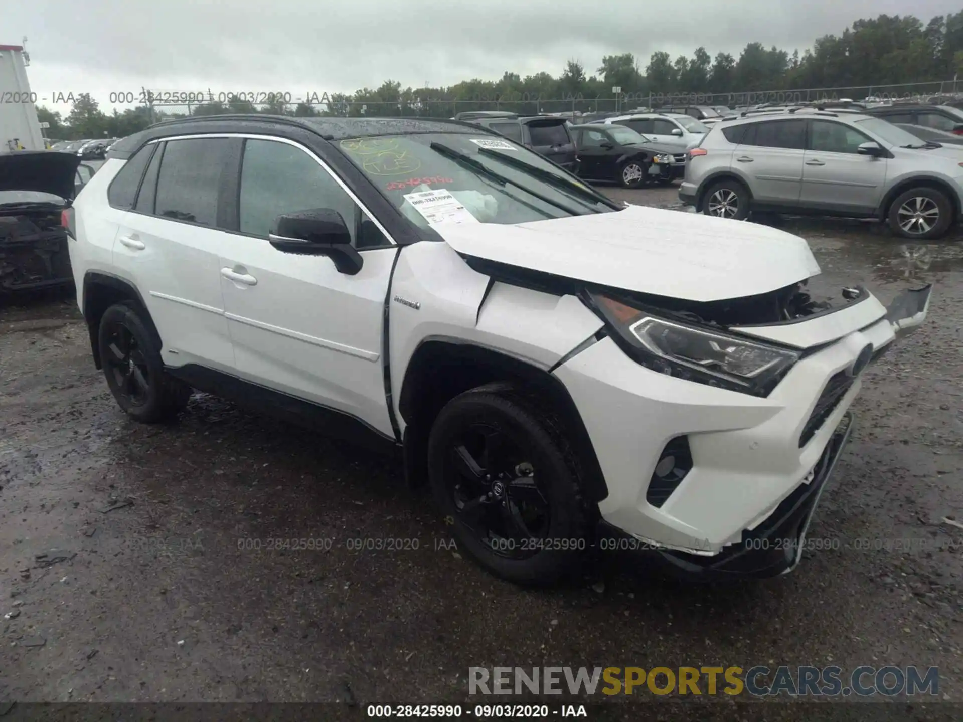 1 Photograph of a damaged car 2T3EWRFV8KW024296 TOYOTA RAV4 2019