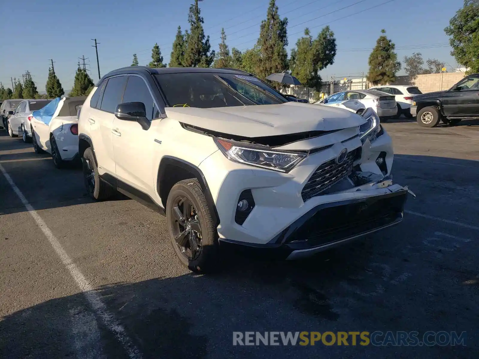 1 Photograph of a damaged car 2T3EWRFVXKW031671 TOYOTA RAV4 2019