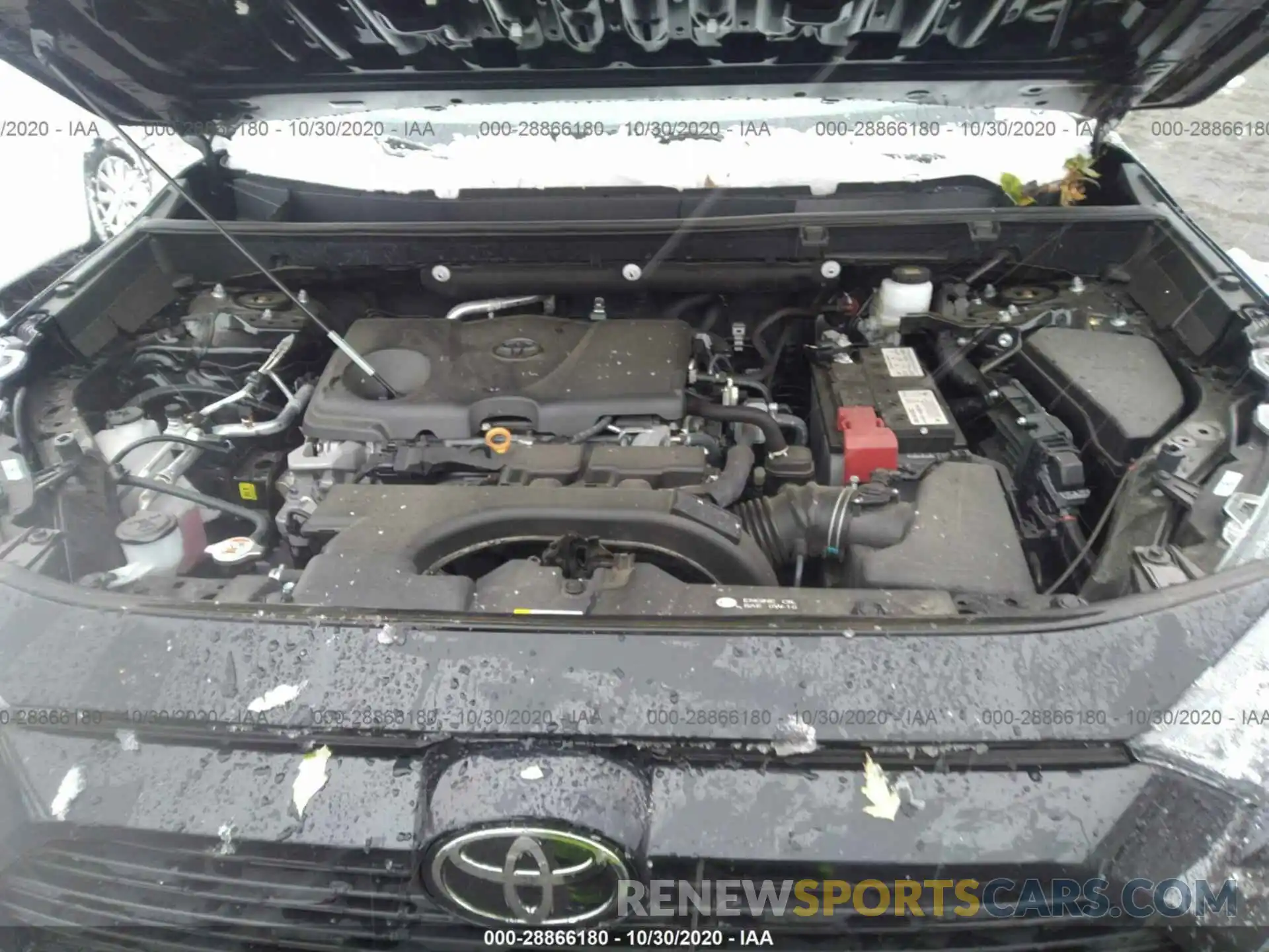 10 Photograph of a damaged car 2T3F1RFV1KW032338 TOYOTA RAV4 2019