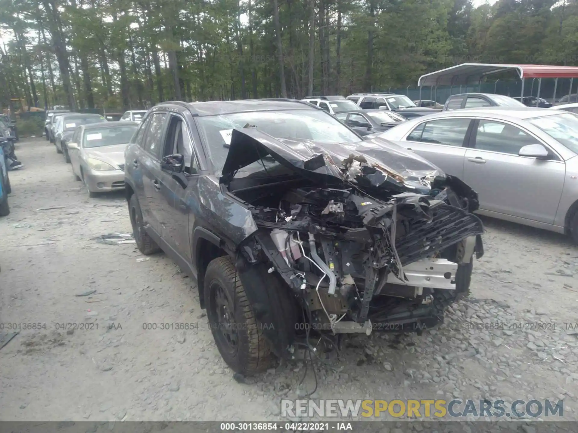 1 Photograph of a damaged car 2T3F1RFV3KC009998 TOYOTA RAV4 2019