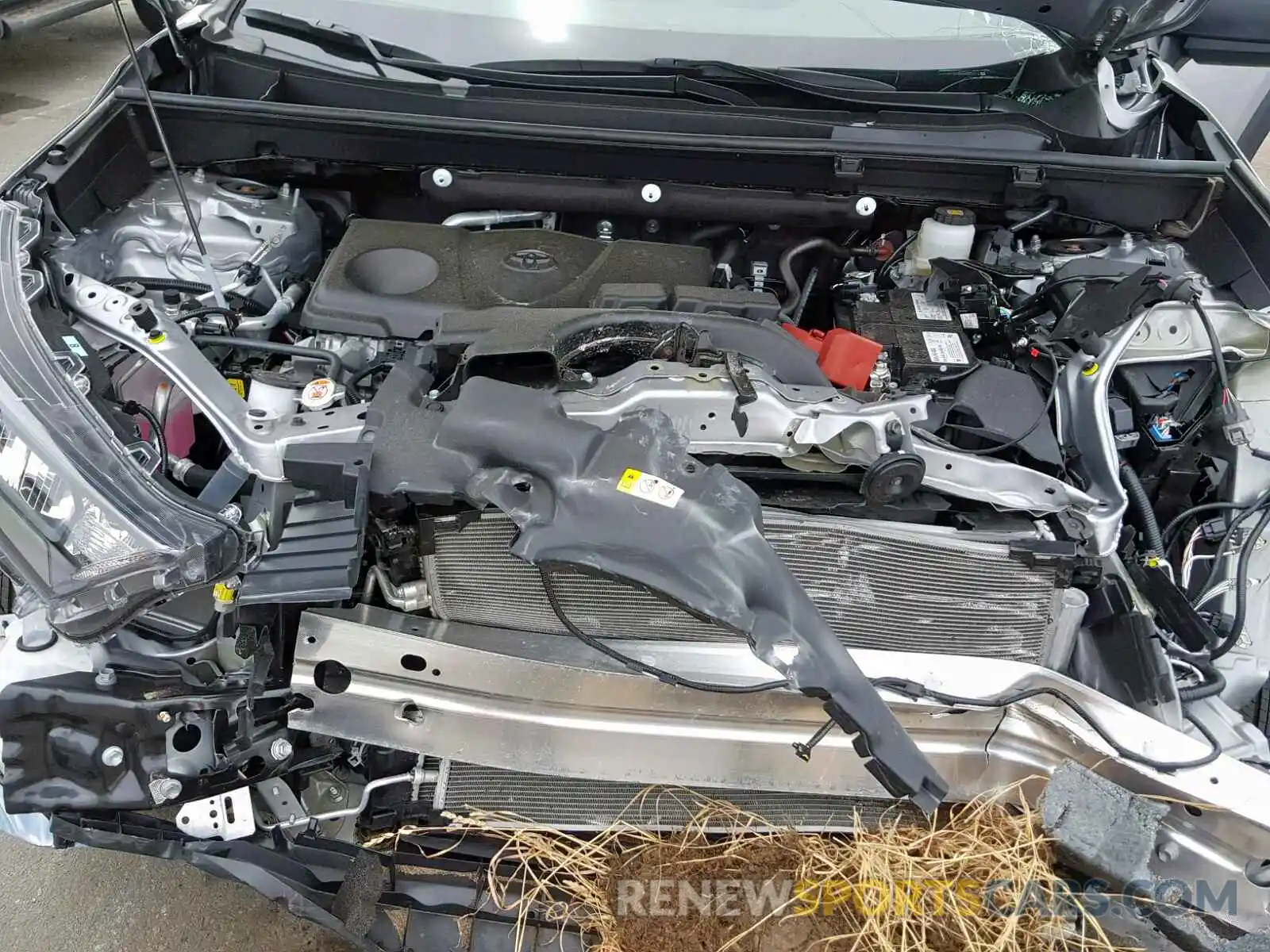 7 Photograph of a damaged car 2T3F1RFV4KW007529 TOYOTA RAV4 2019