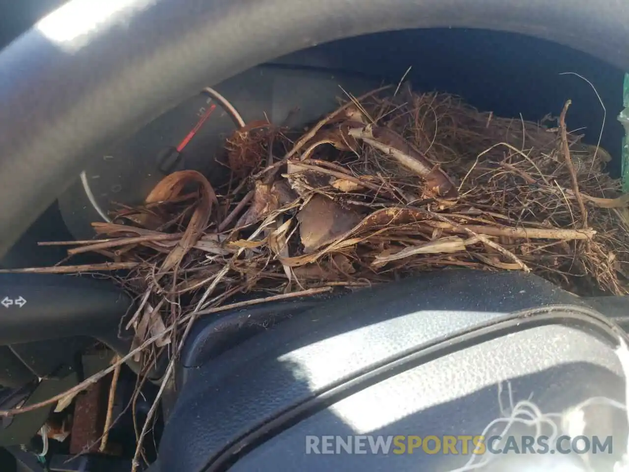 8 Photograph of a damaged car 2T3F1RFV6KC010191 TOYOTA RAV4 2019