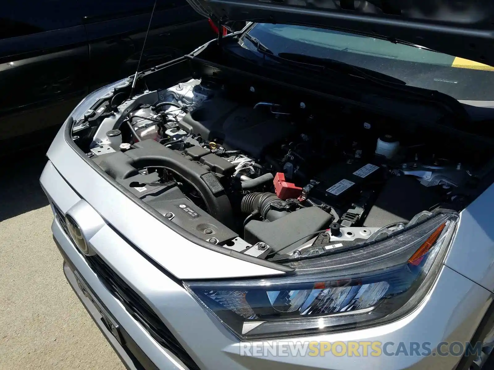 7 Photograph of a damaged car 2T3F1RFV6KW041021 TOYOTA RAV4 2019