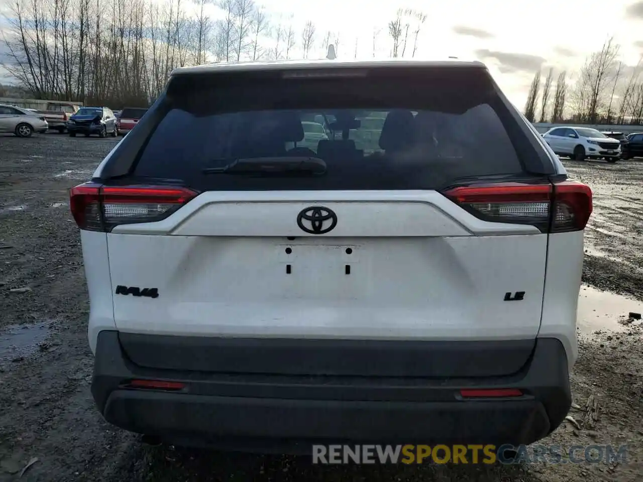 6 Photograph of a damaged car 2T3H1RFV0KC031188 TOYOTA RAV4 2019