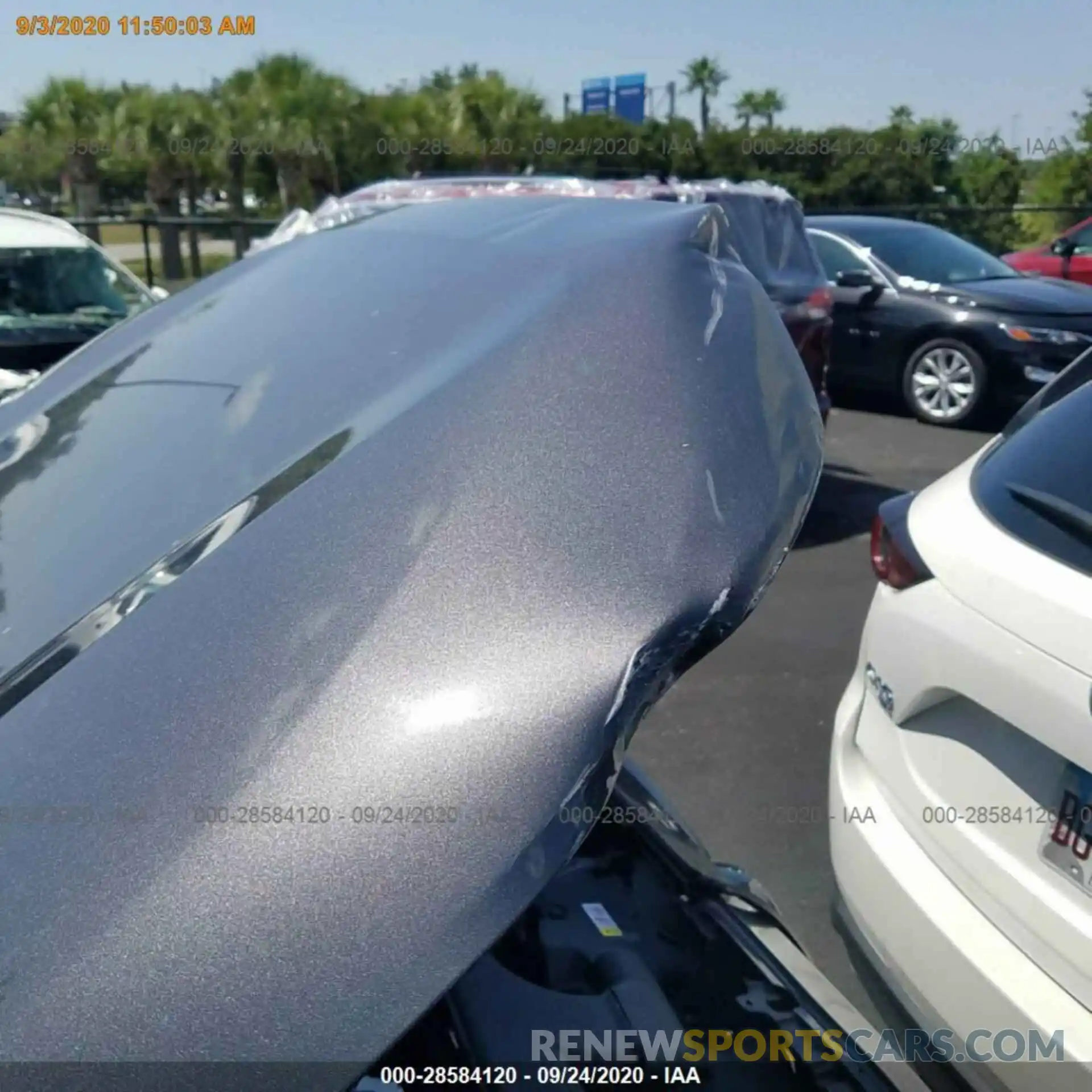 13 Photograph of a damaged car 2T3H1RFV1KW020716 TOYOTA RAV4 2019