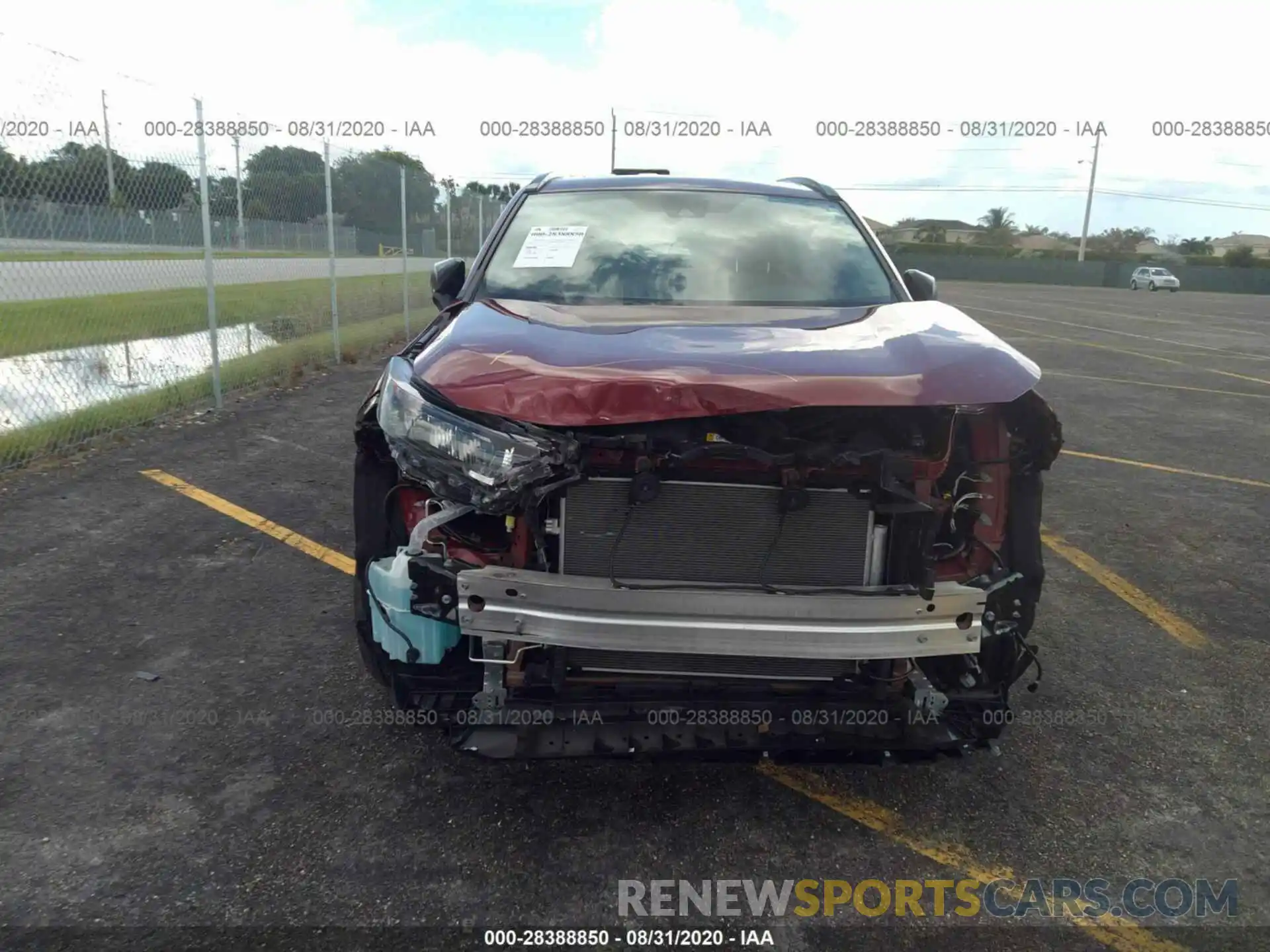 6 Photograph of a damaged car 2T3H1RFV1KW042070 TOYOTA RAV4 2019