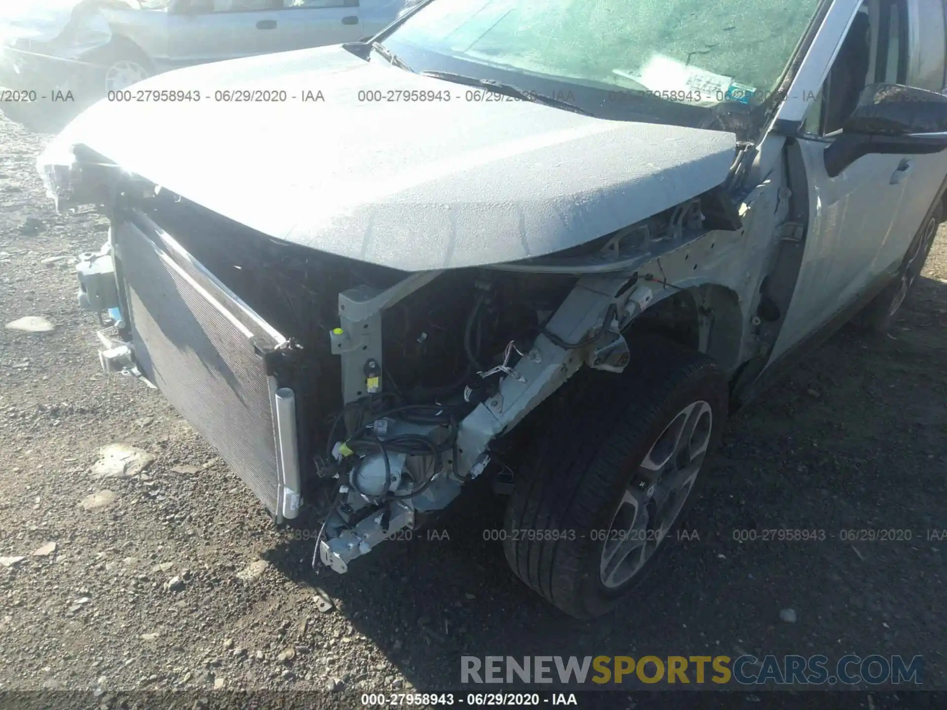 6 Photograph of a damaged car 2T3J1RFV0KW005366 TOYOTA RAV4 2019