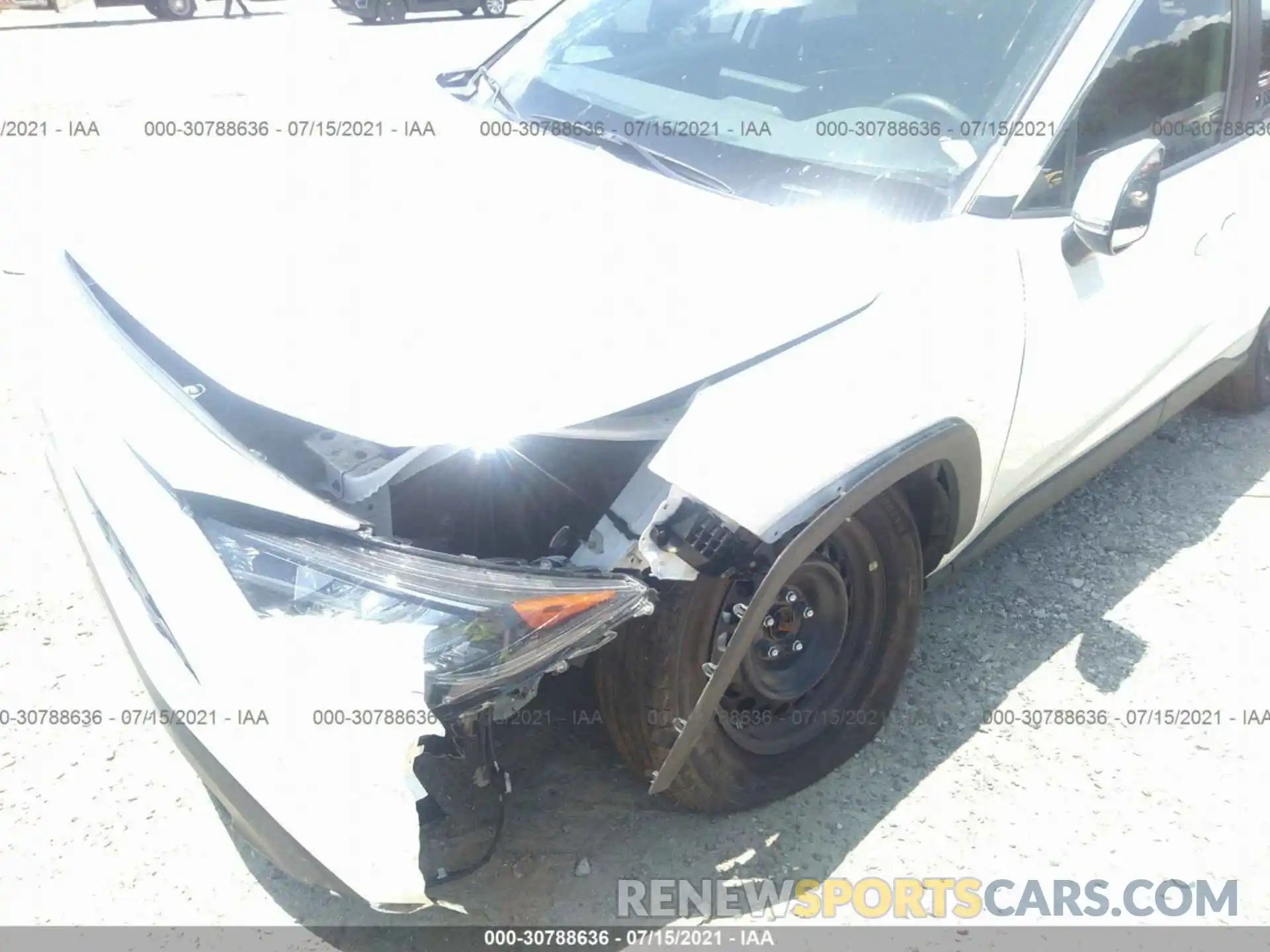 6 Photograph of a damaged car 2T3K1RFV8KW020931 TOYOTA RAV4 2019