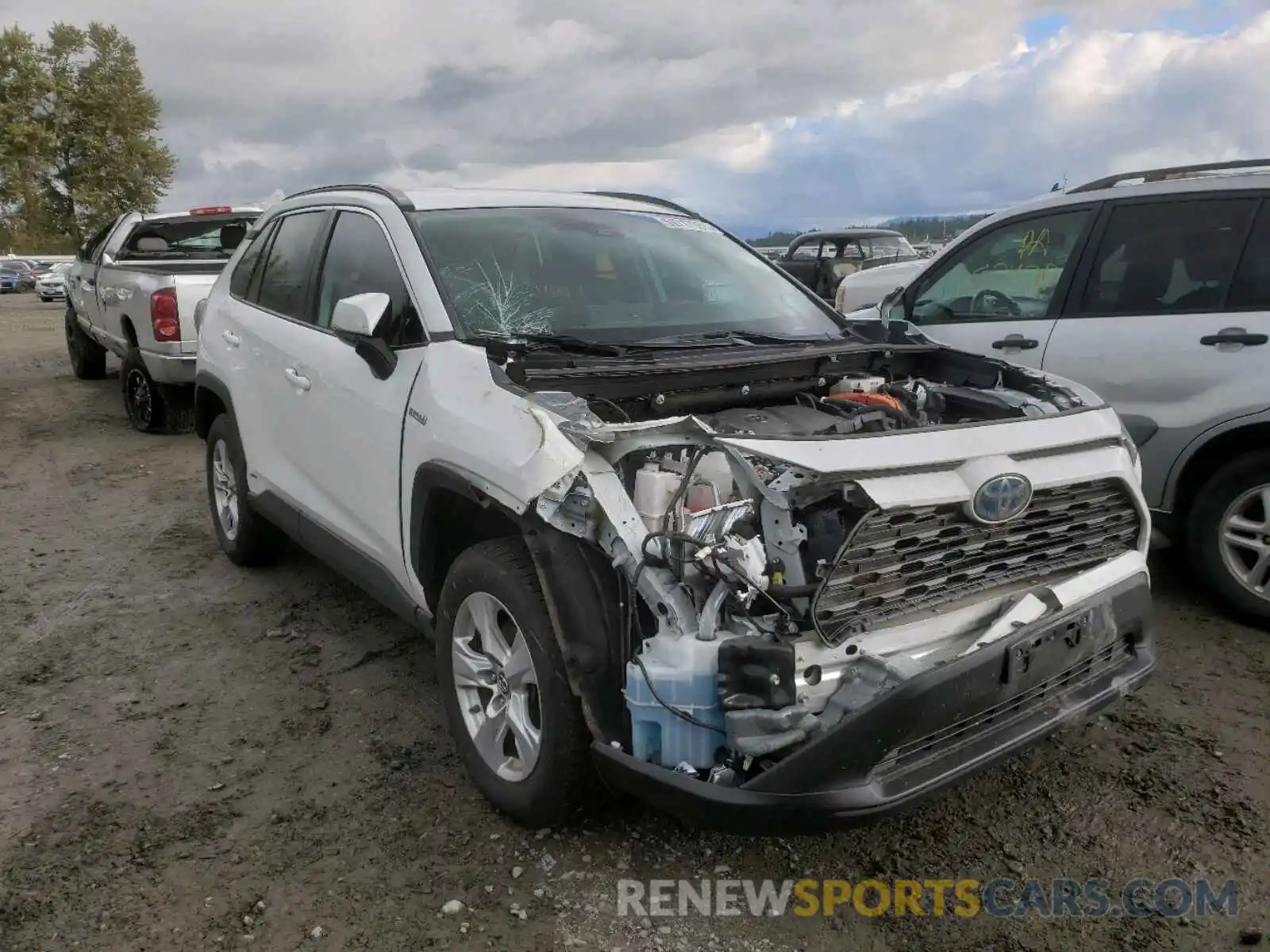 1 Photograph of a damaged car 2T3MWRFV0KW029505 TOYOTA RAV4 2019