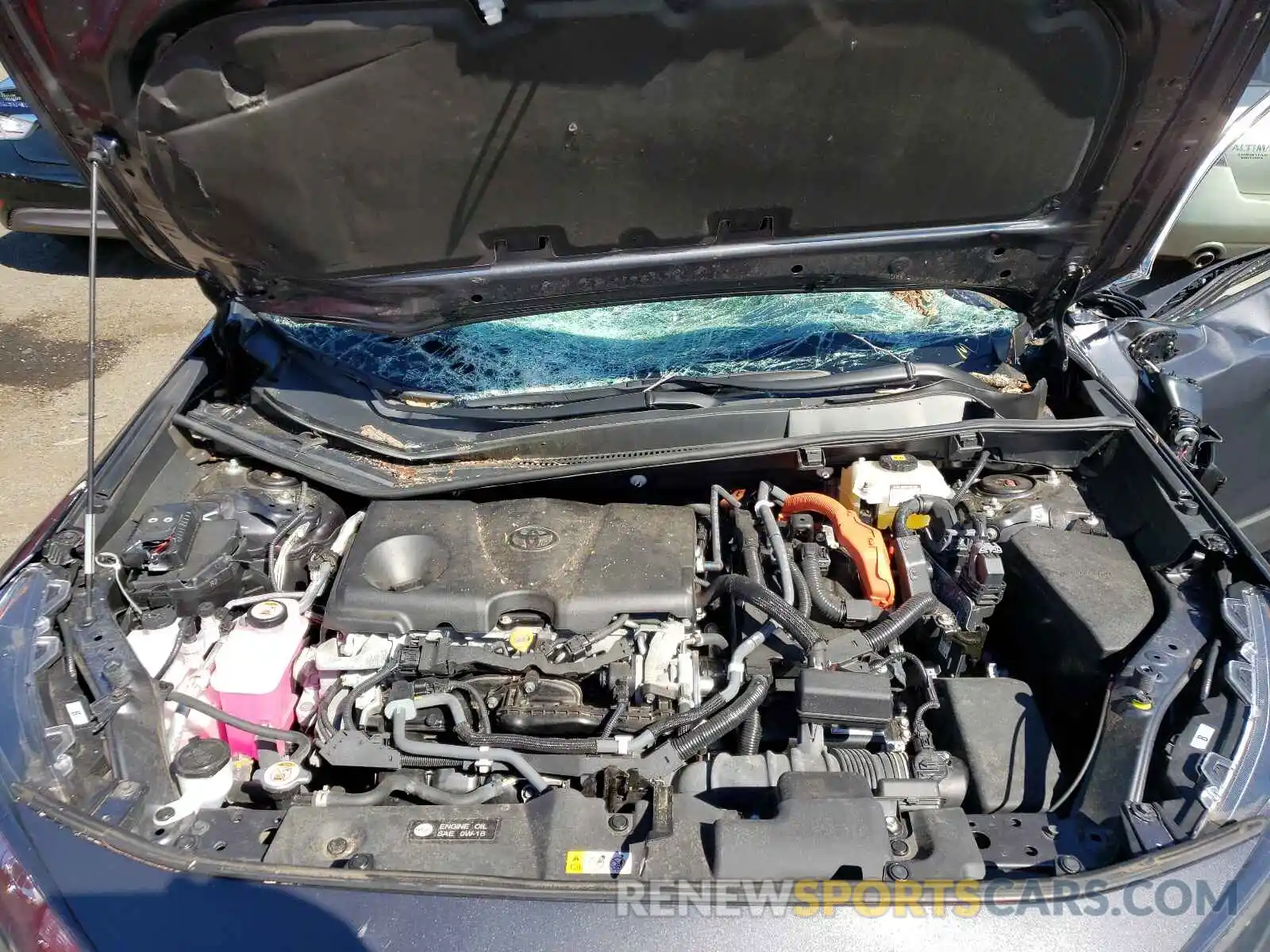 7 Photograph of a damaged car 2T3MWRFV2KW007859 TOYOTA RAV4 2019