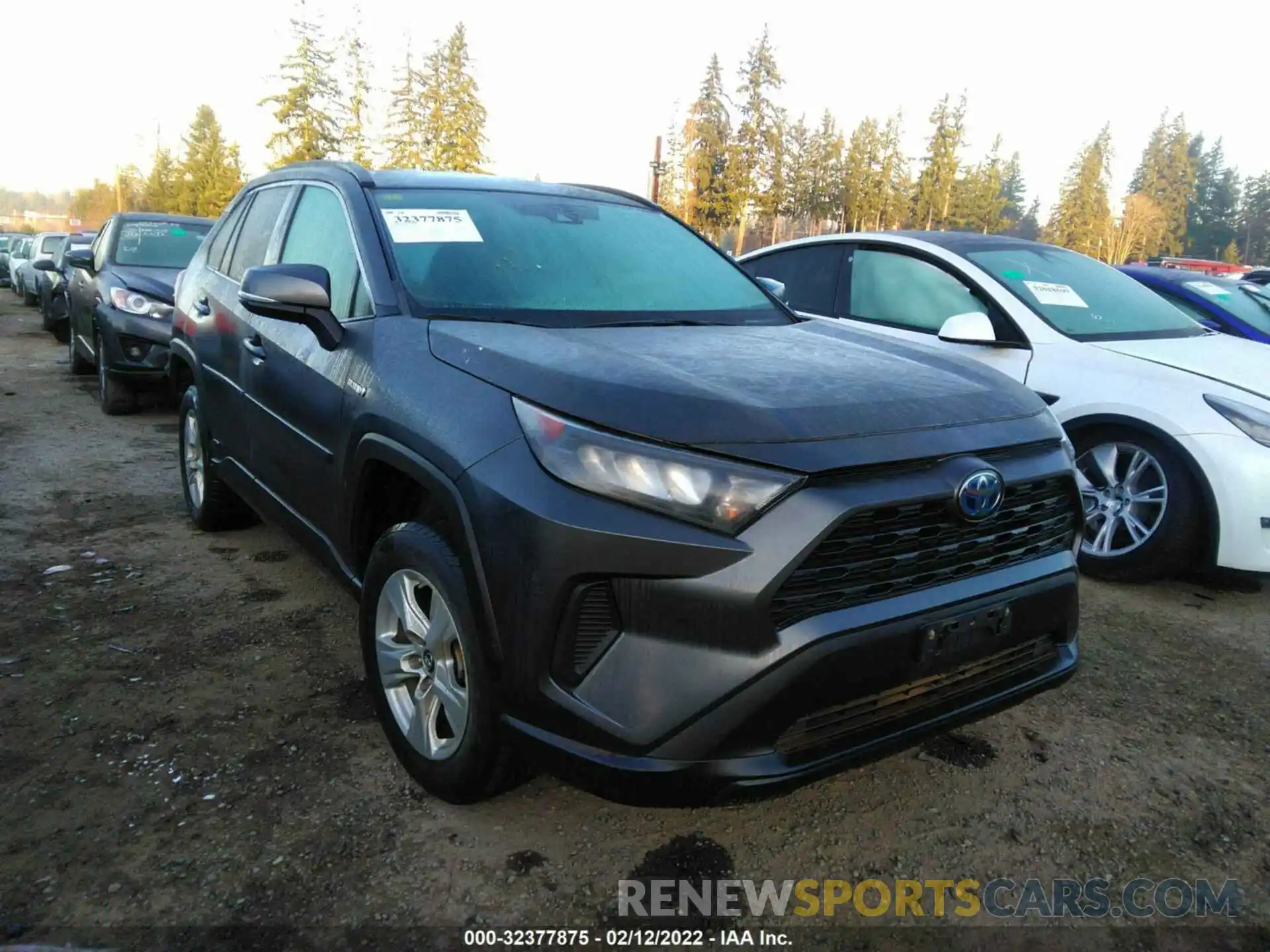 1 Photograph of a damaged car 2T3MWRFV2KW012205 TOYOTA RAV4 2019