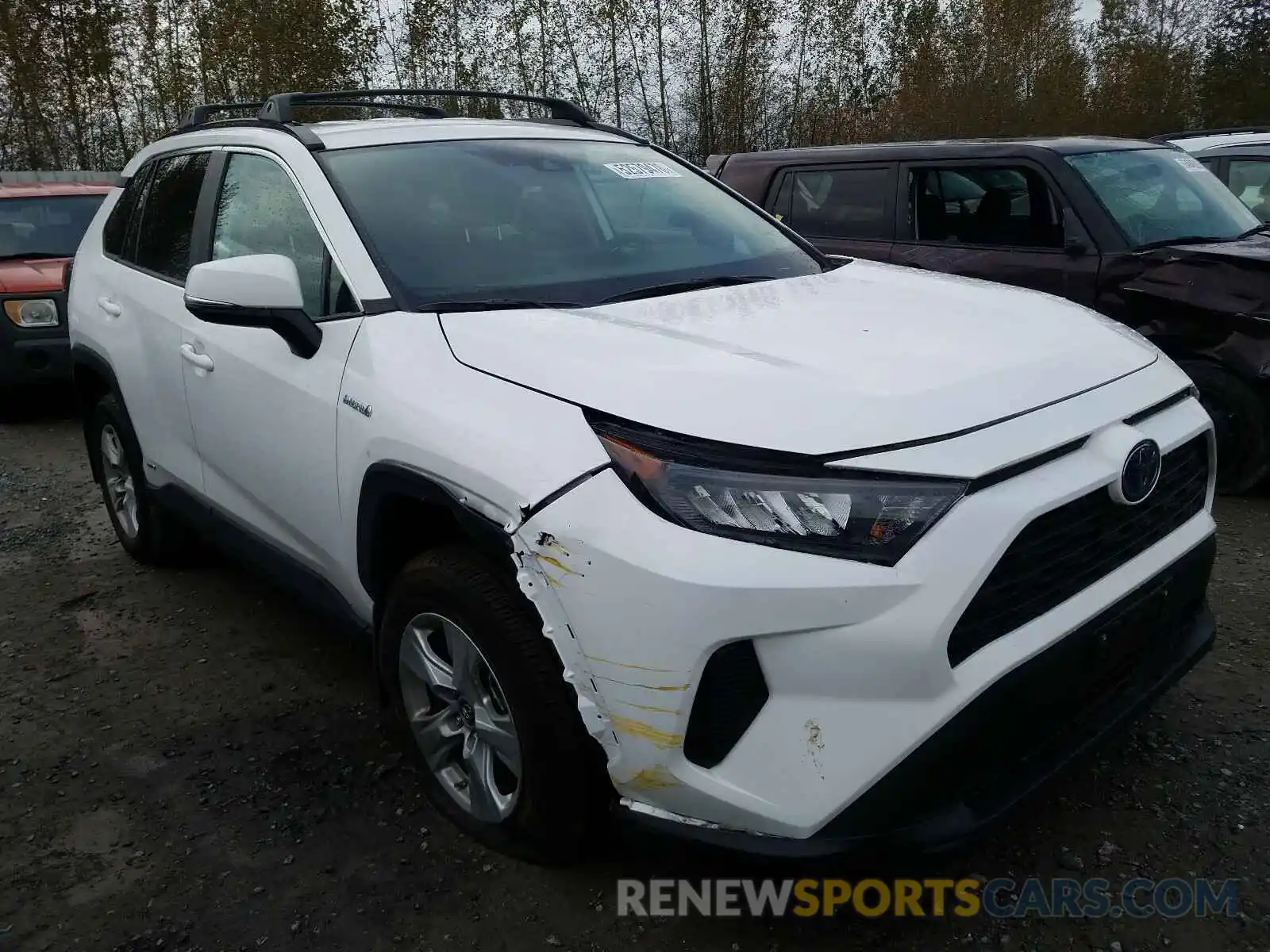 1 Photograph of a damaged car 2T3MWRFV4KW034819 TOYOTA RAV4 2019