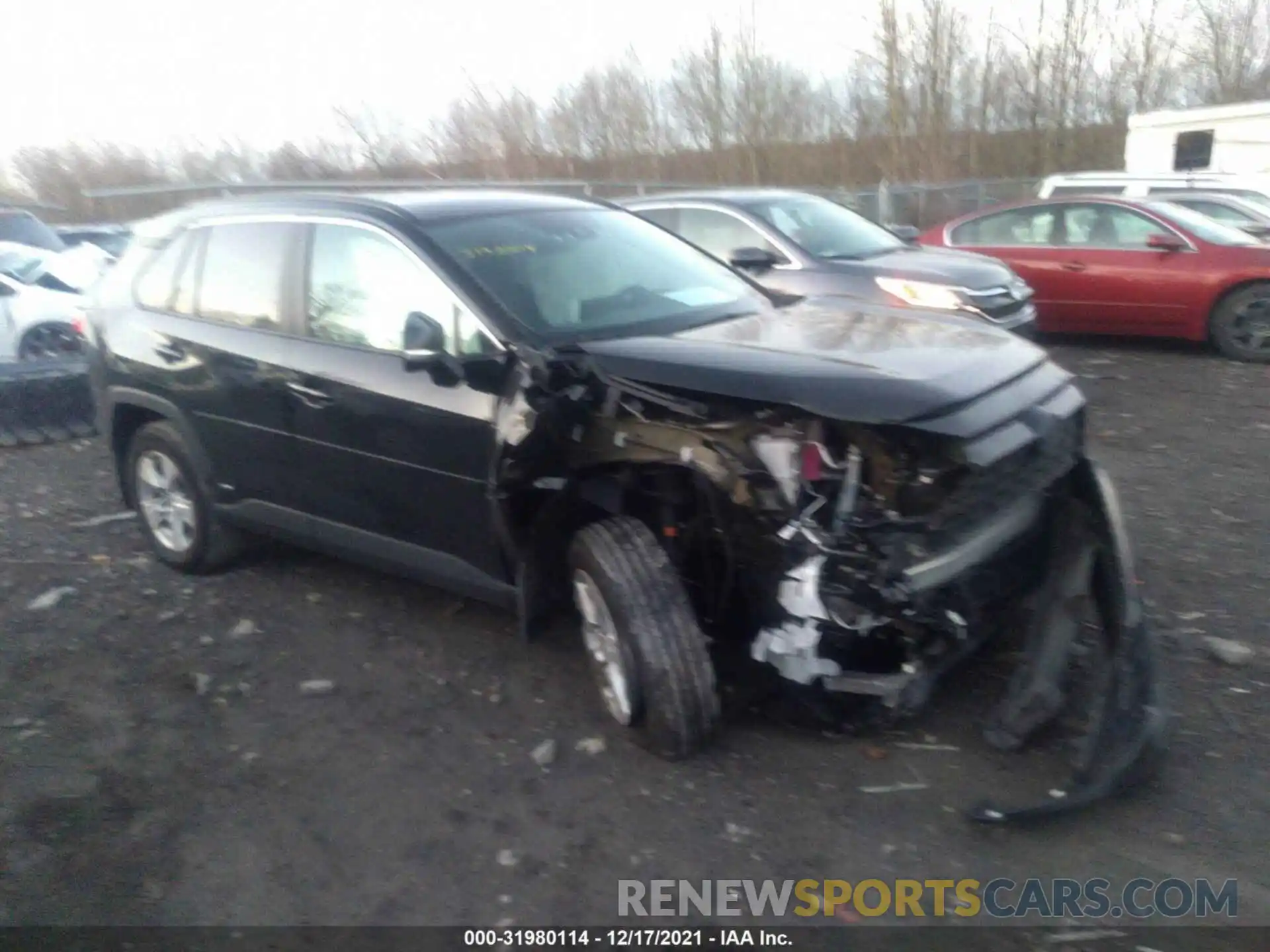 1 Photograph of a damaged car 2T3MWRFV6KW008481 TOYOTA RAV4 2019