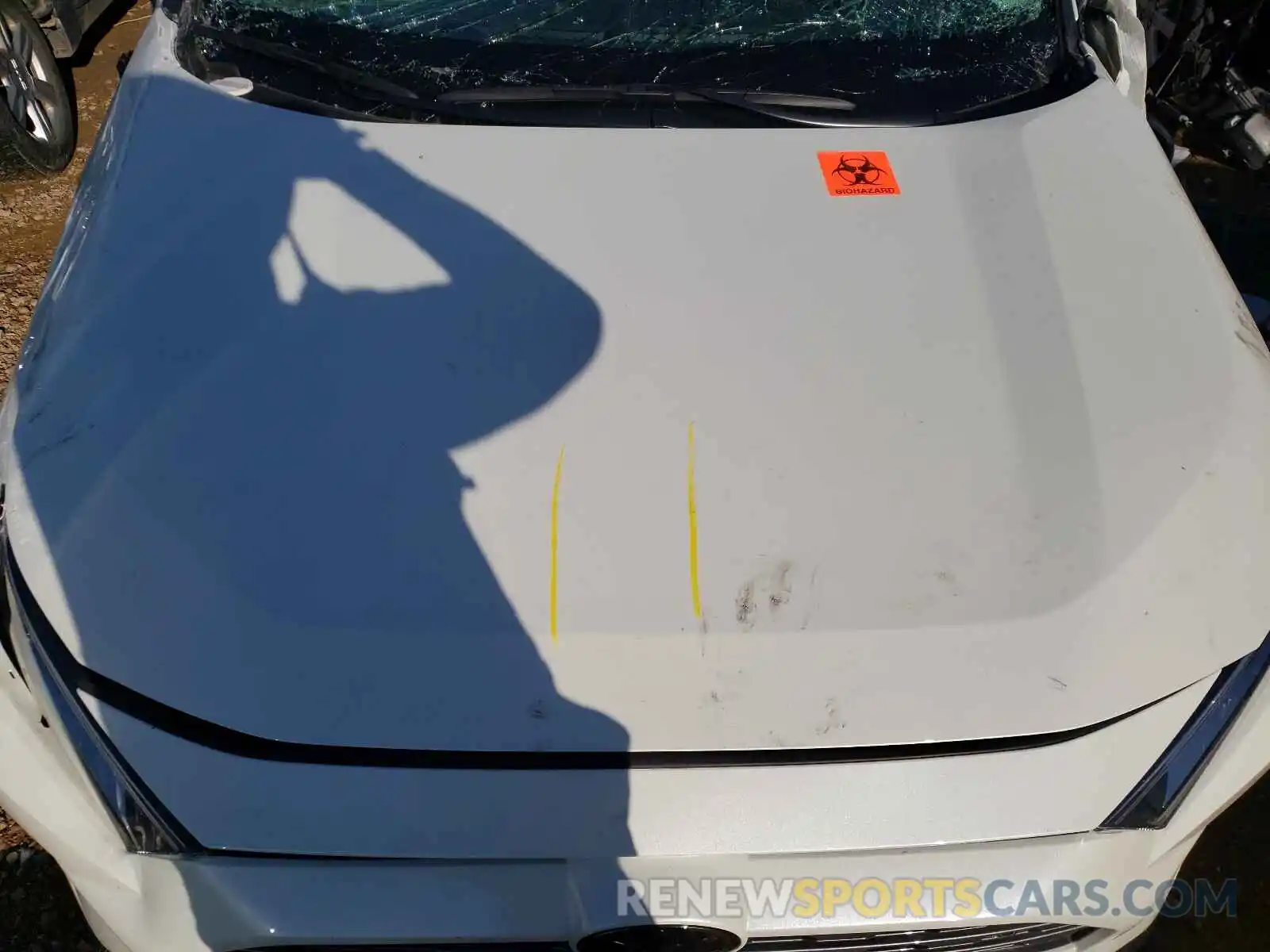 7 Photograph of a damaged car 2T3N1RFV4KC019595 TOYOTA RAV4 2019