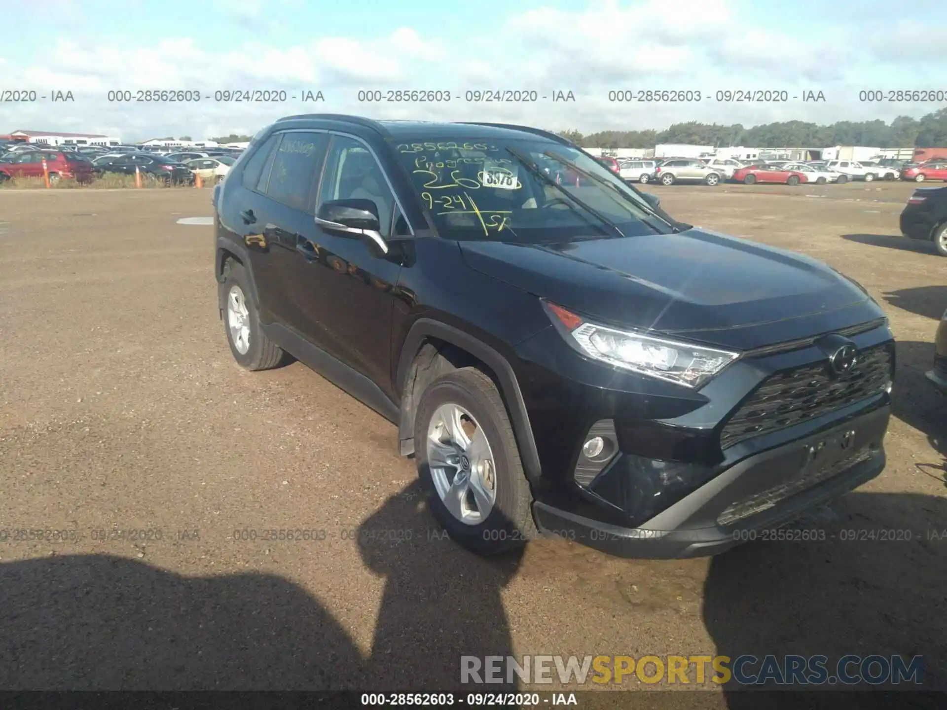 1 Photograph of a damaged car 2T3P1RFV0KW051645 TOYOTA RAV4 2019