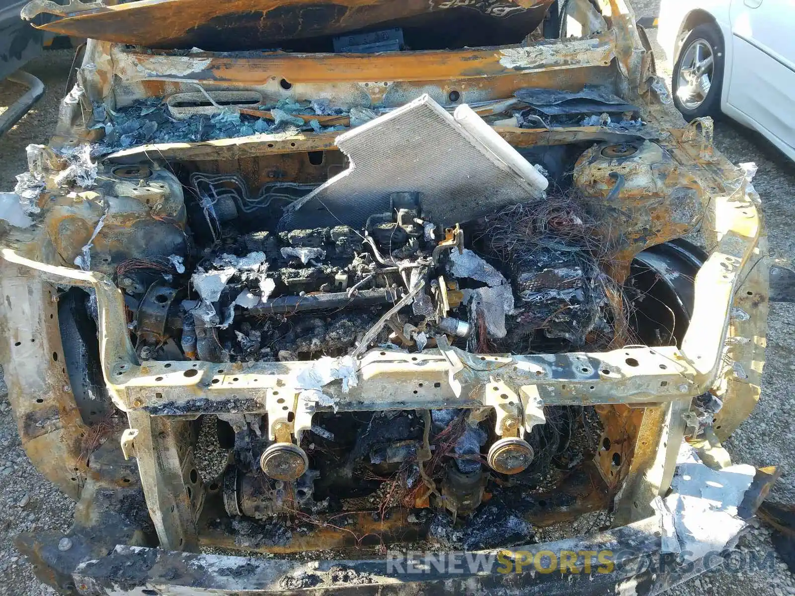 7 Фотография поврежденного автомобиля 2T3P1RFV1KC020535 TOYOTA RAV4 2019