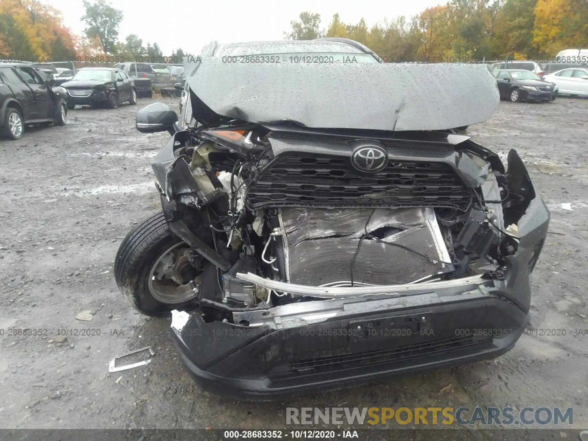 6 Photograph of a damaged car 2T3P1RFV3KC019273 TOYOTA RAV4 2019