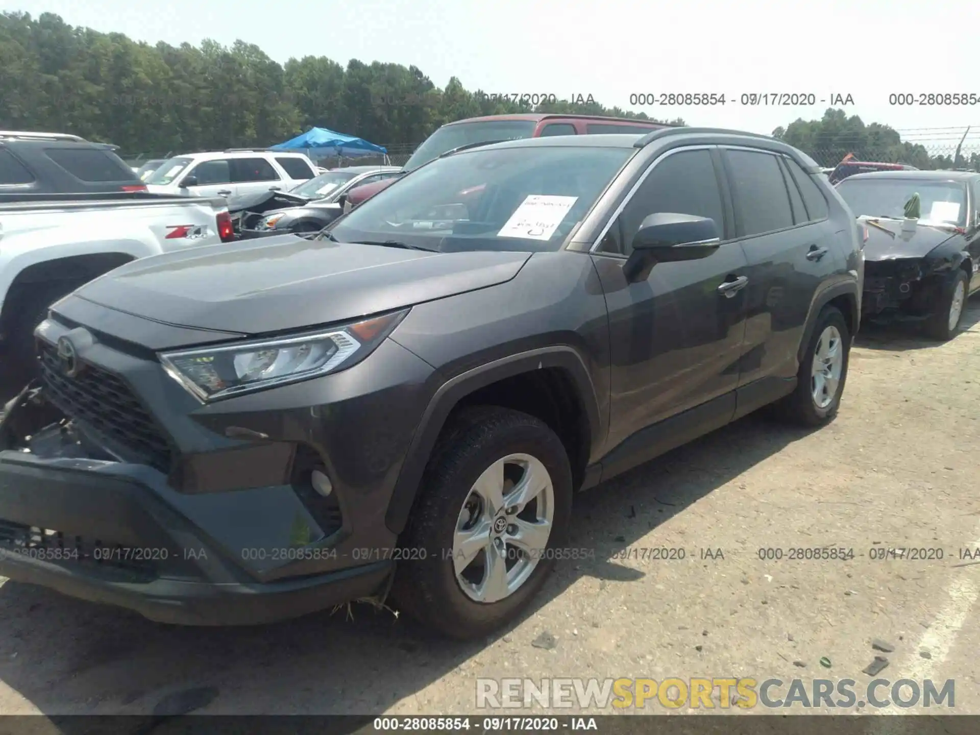 13 Photograph of a damaged car 2T3P1RFV7KW004662 TOYOTA RAV4 2019