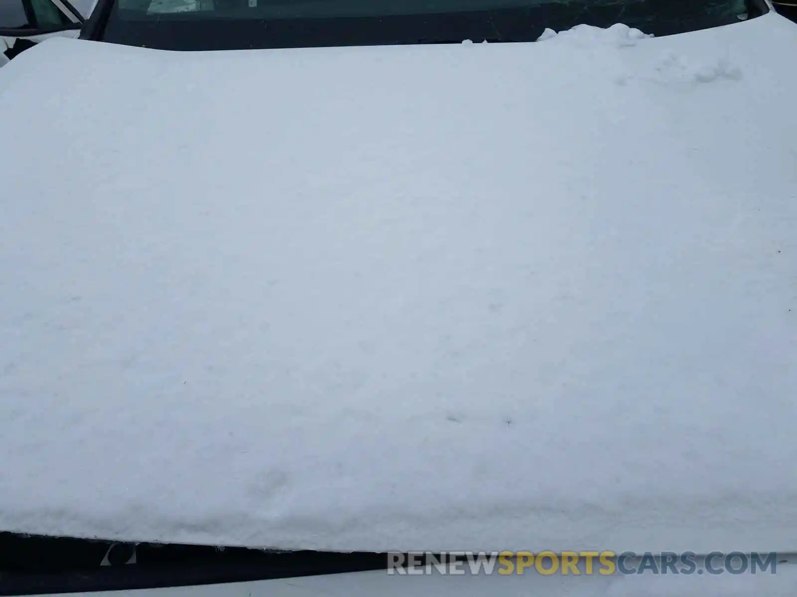 7 Photograph of a damaged car 2T3P1RFV7KW031487 TOYOTA RAV4 2019