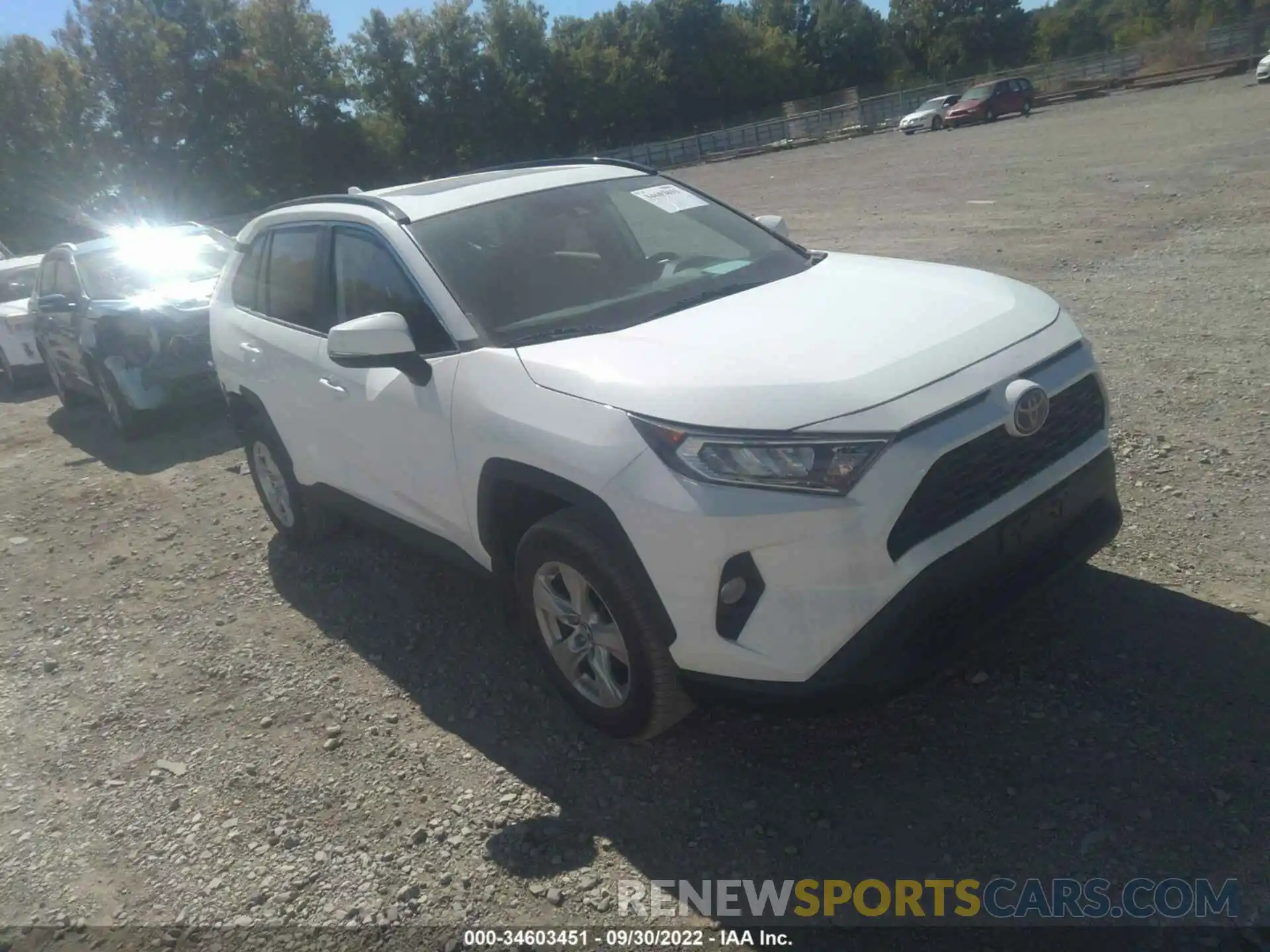 1 Фотография поврежденного автомобиля 2T3P1RFV8KW025407 TOYOTA RAV4 2019