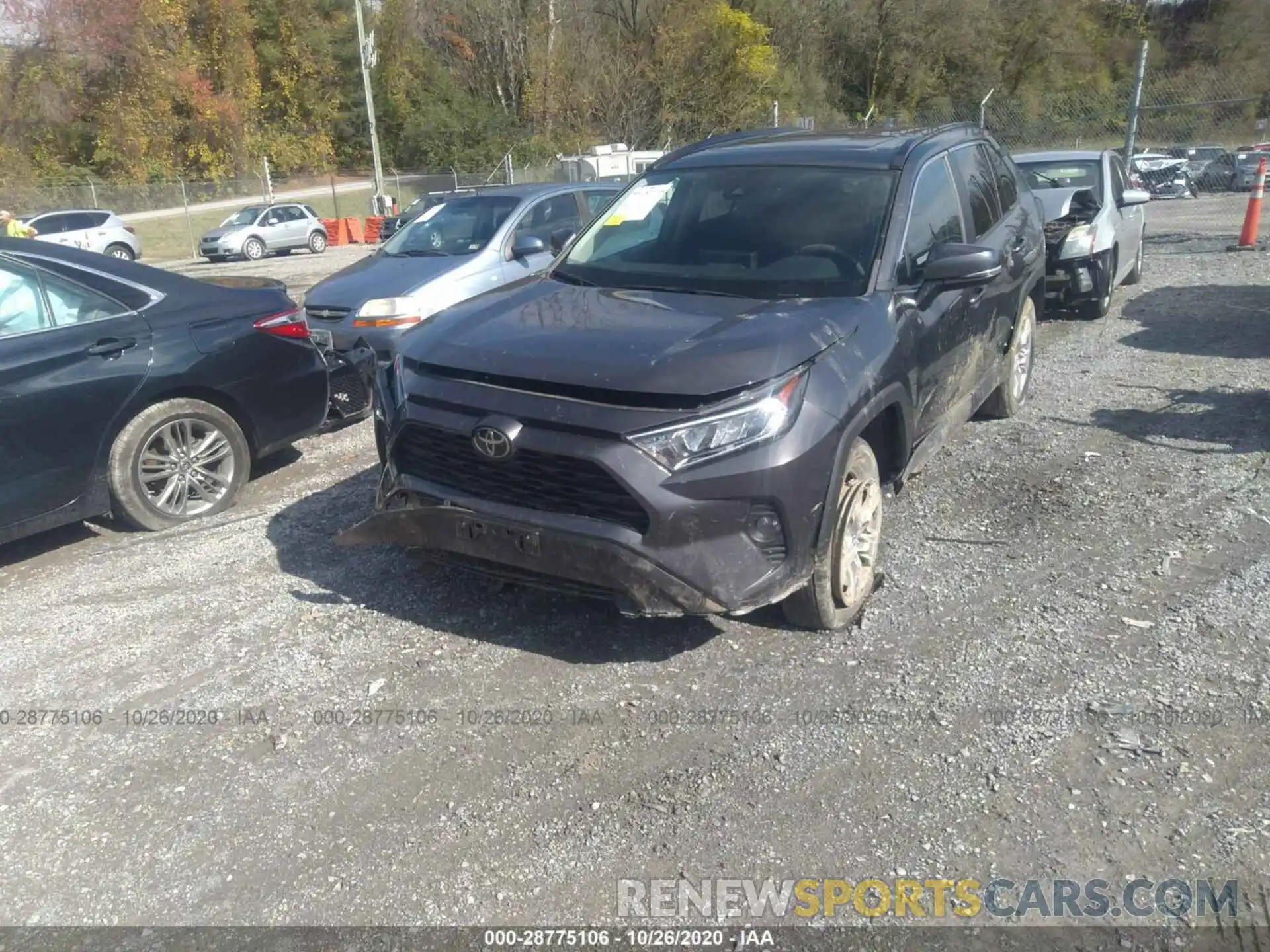 6 Photograph of a damaged car 2T3P1RFV8KW035953 TOYOTA RAV4 2019