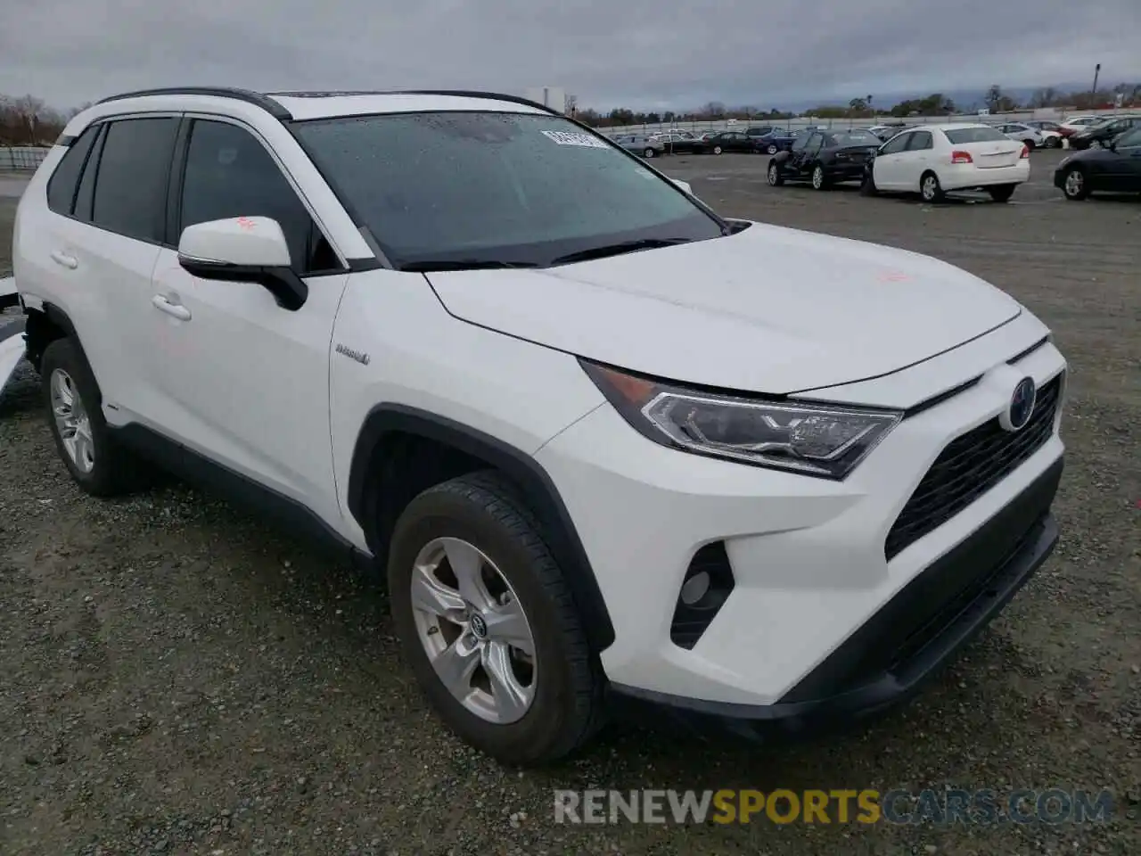 1 Photograph of a damaged car 2T3RWRFV0KW008854 TOYOTA RAV4 2019